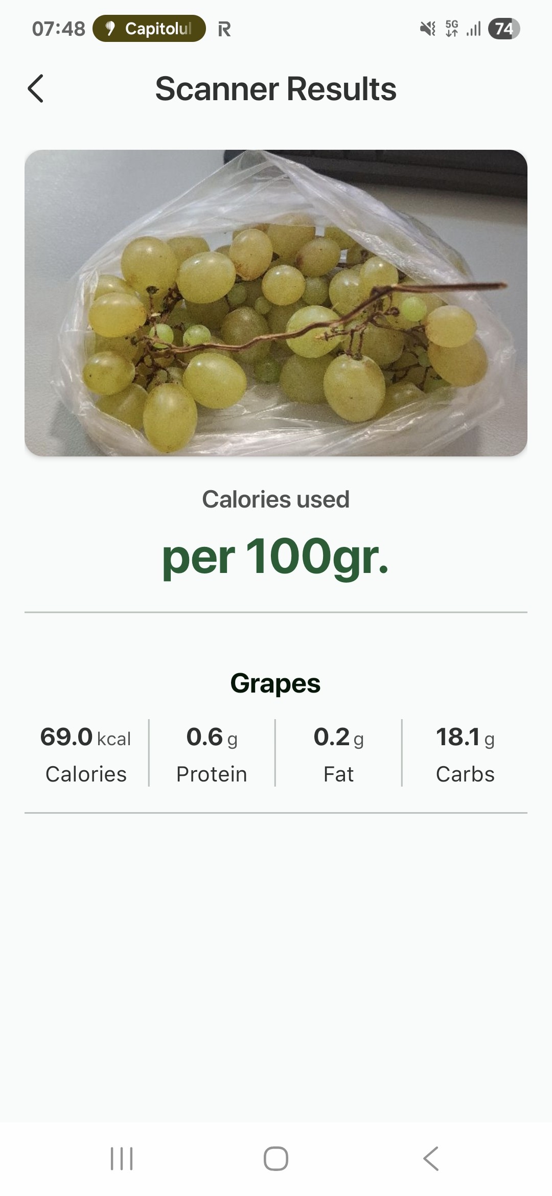Fresh Green Grapes
