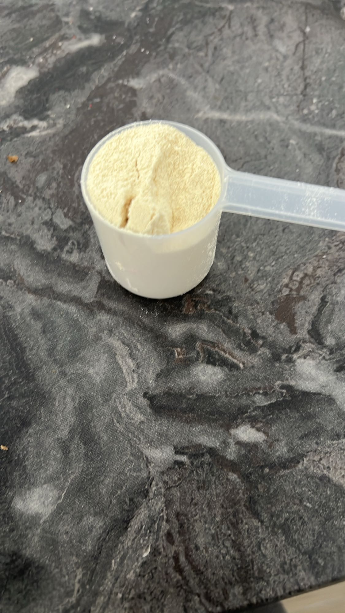 պրոտեին փոշի