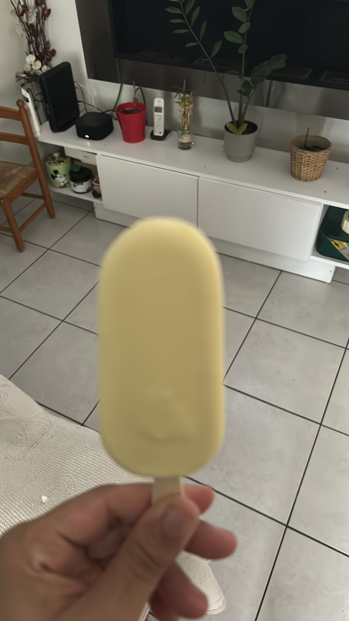 Glace vanille enrobée