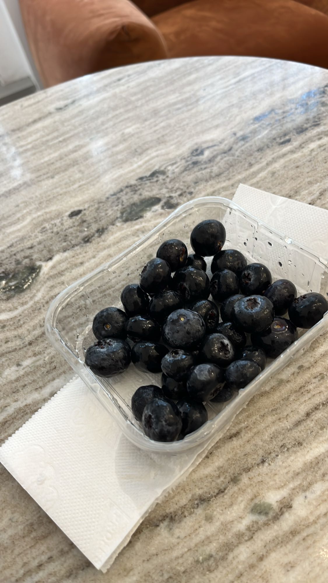 Fresh Blueberries