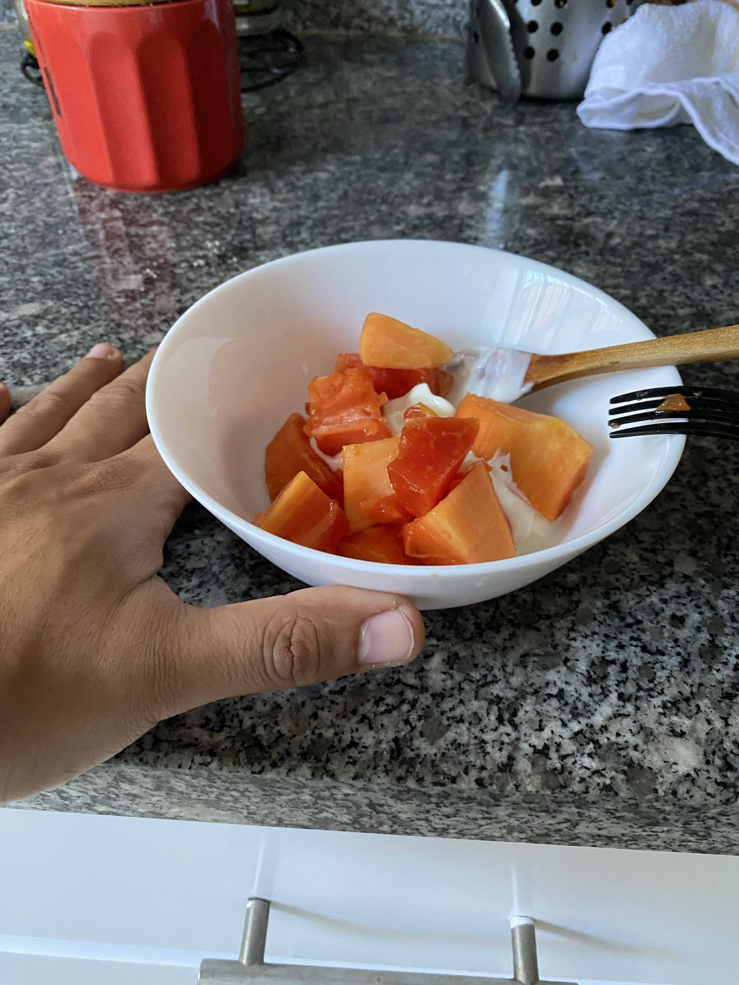 papaya con yogur griego sin azúcar