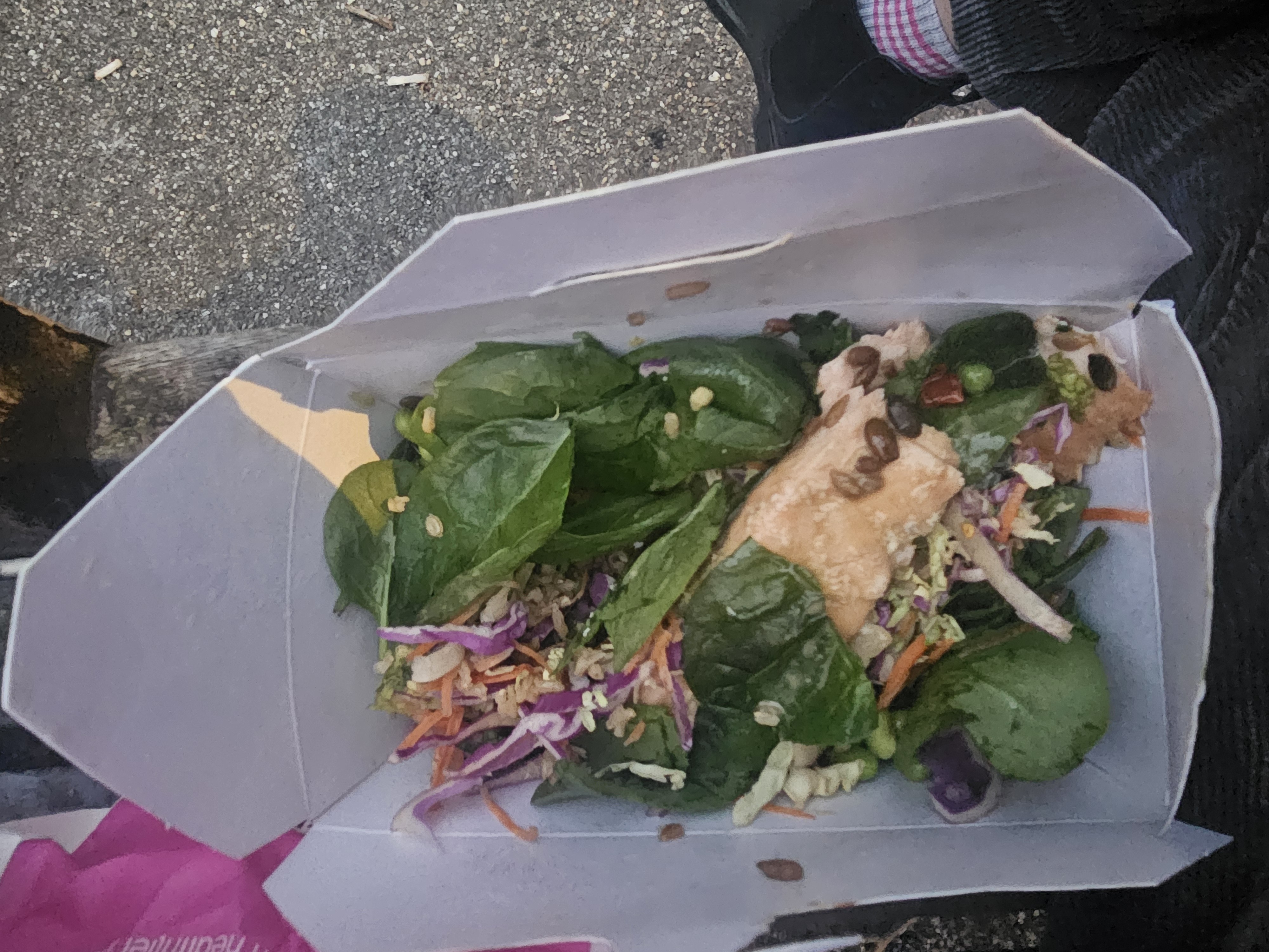 Salmon Spinach Salad