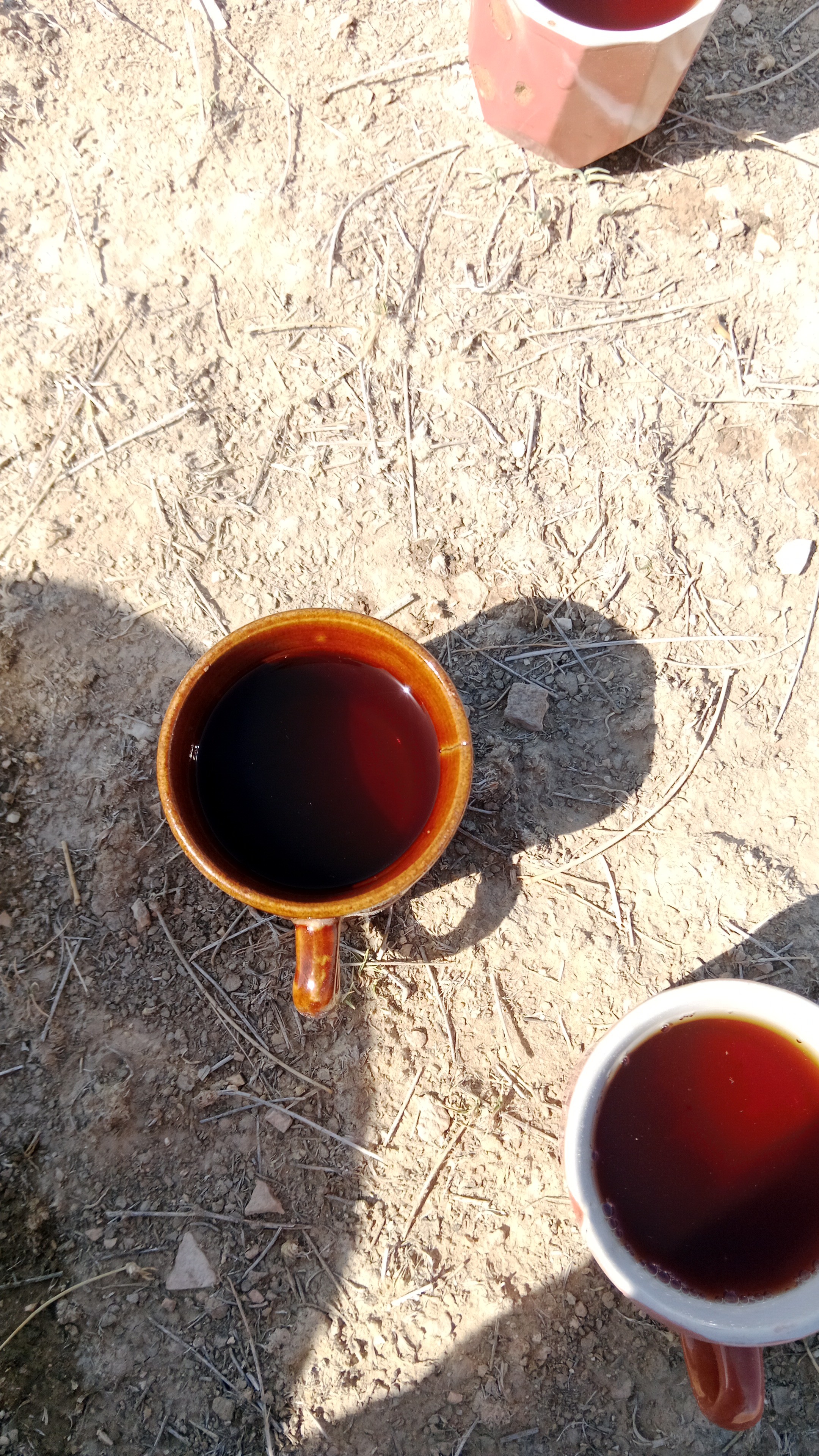 Black Coffee Outdoors