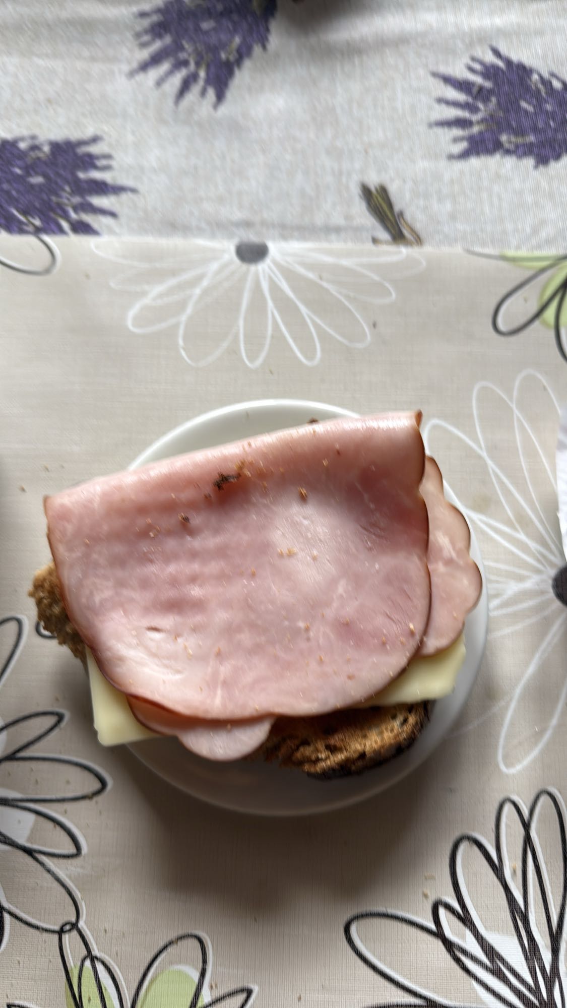 Sandviș cu șuncă și brânză