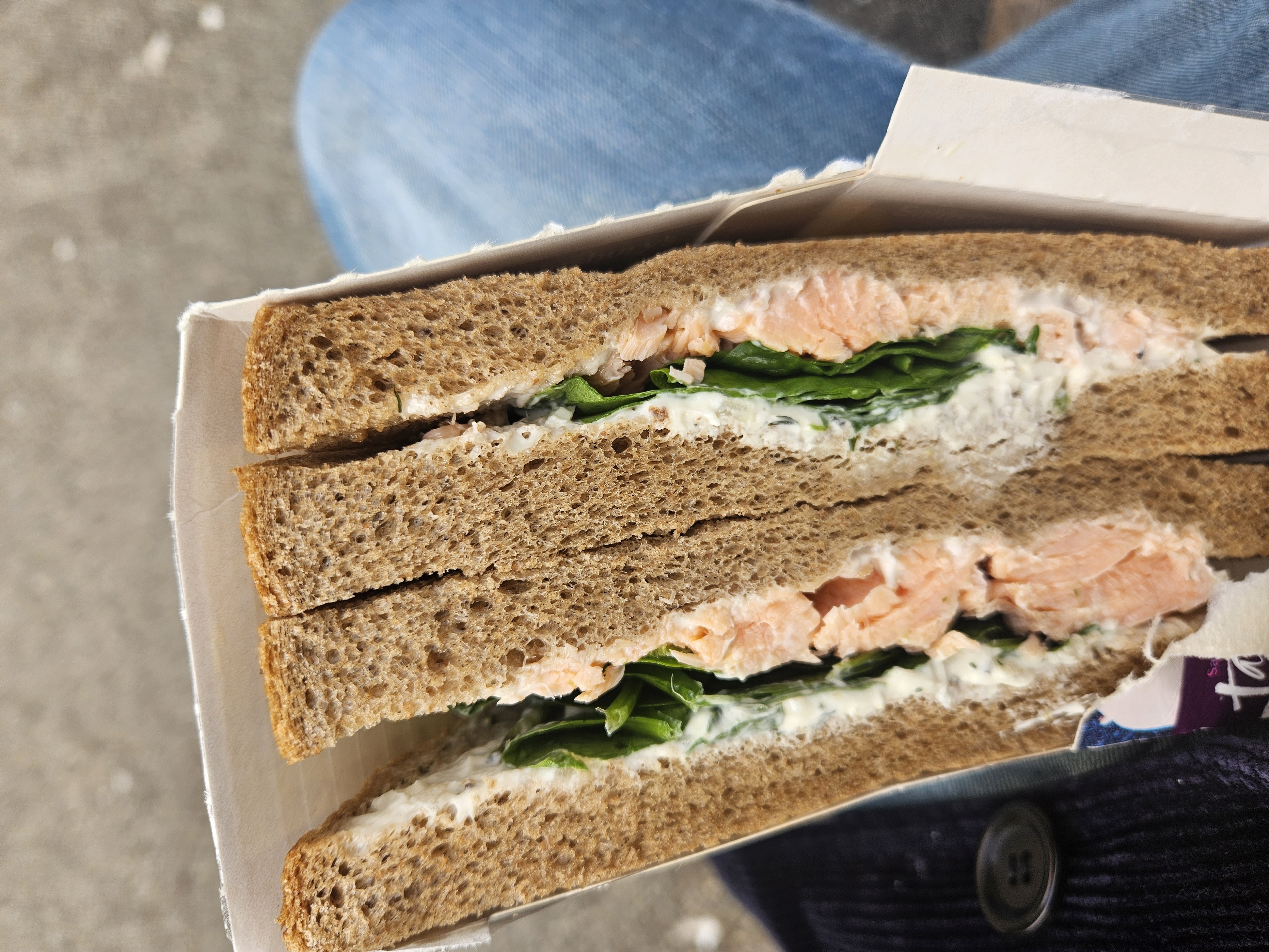 Salmon Spinach Sandwich