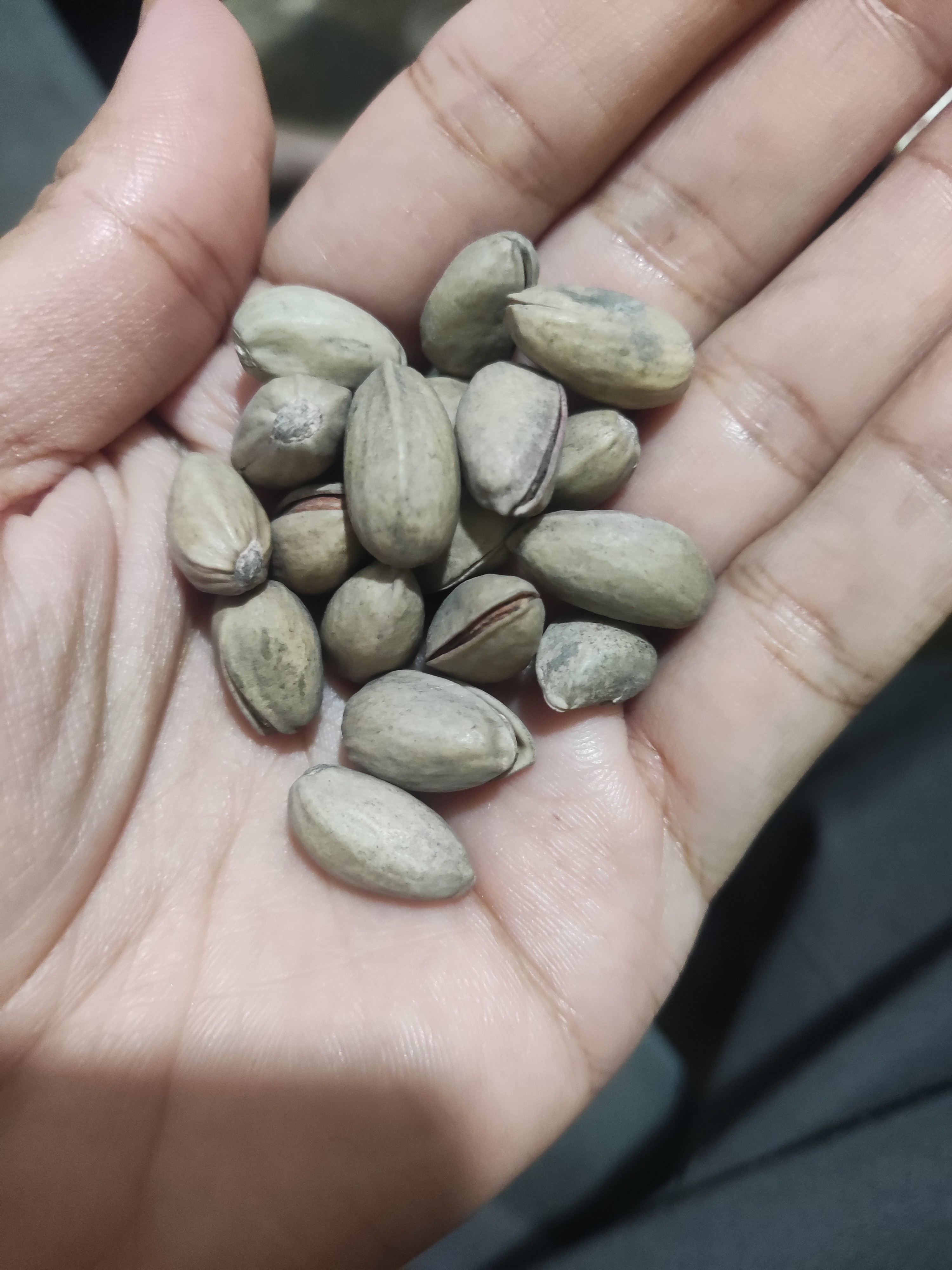 Handful of pistachios