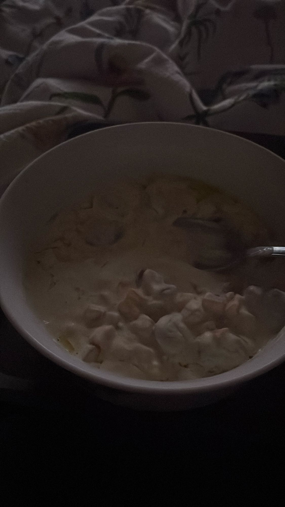 Joghurt mit Obststücken