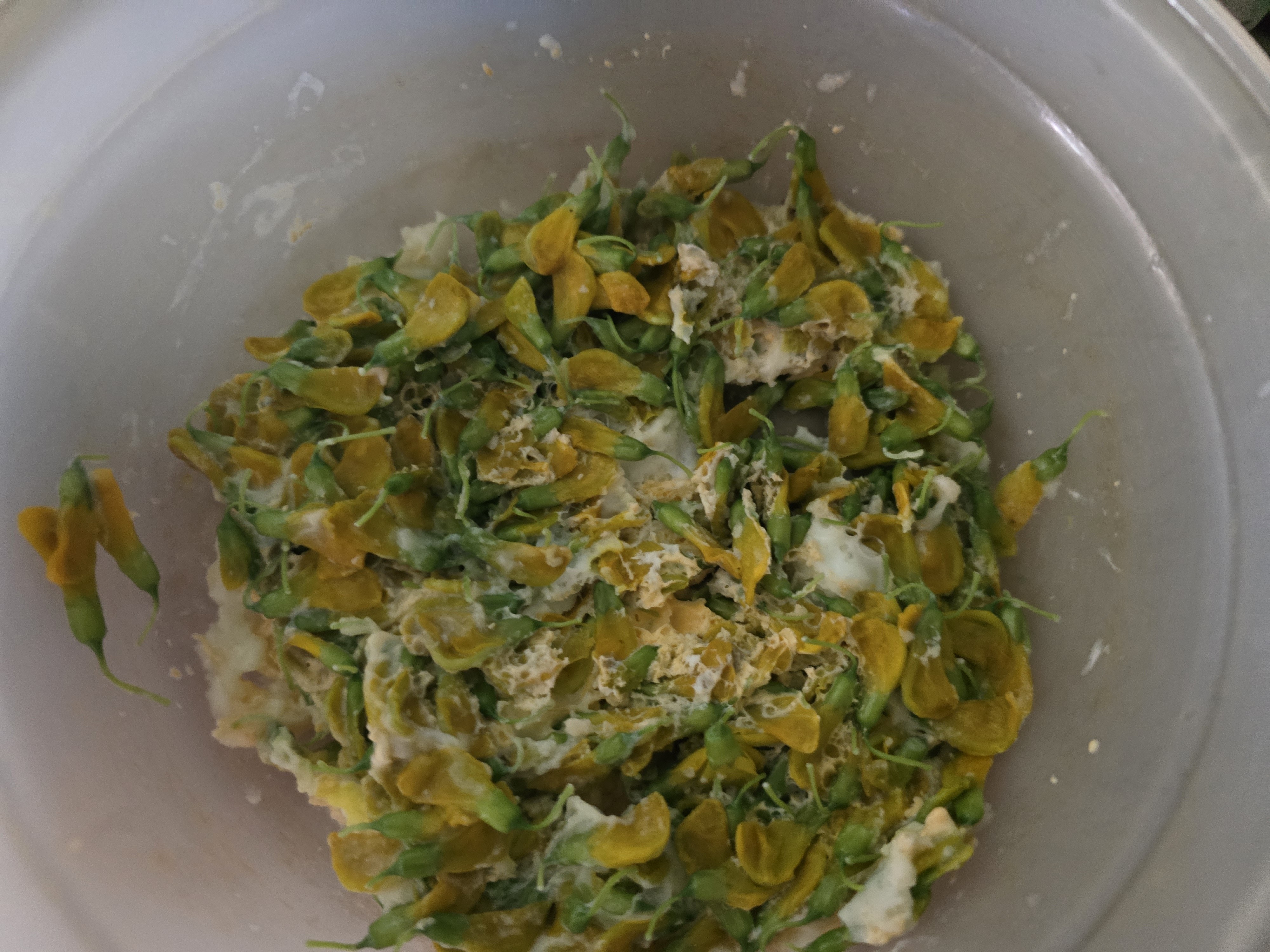 Sesbania flower omelette