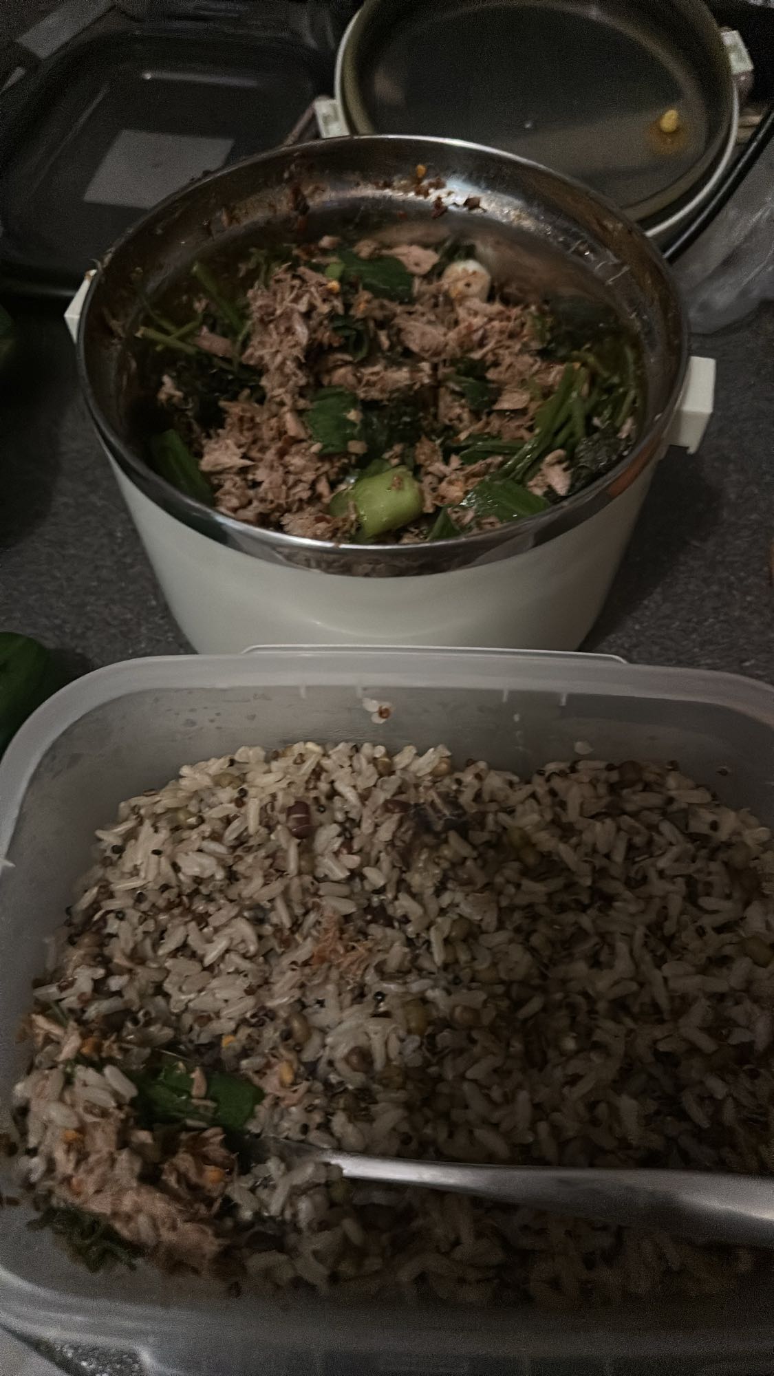 Rijst met tonijn en groenten