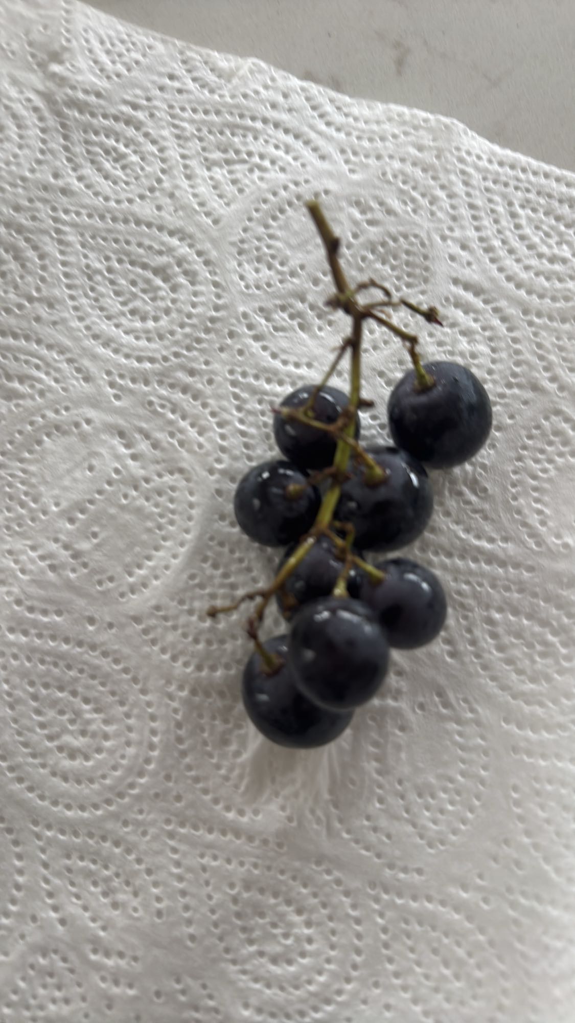 Black Grapes Snack