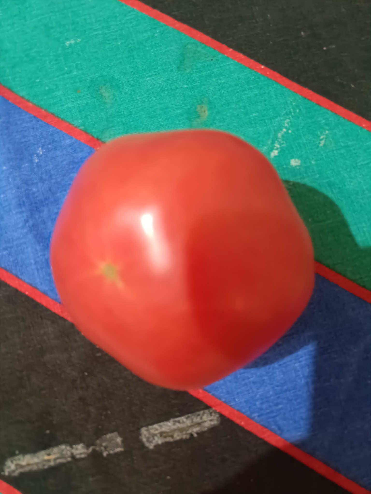 Fresh Tomato