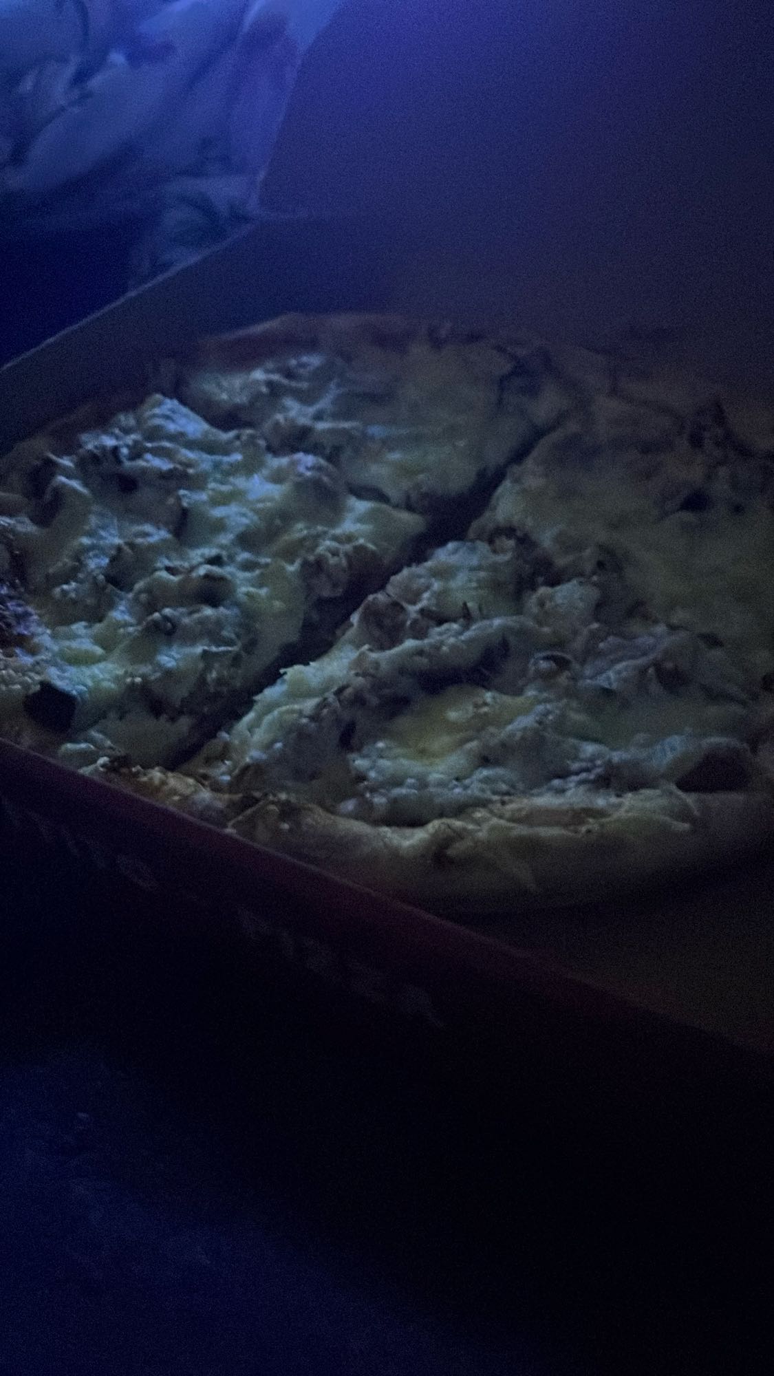 Pizza met kaas en kip