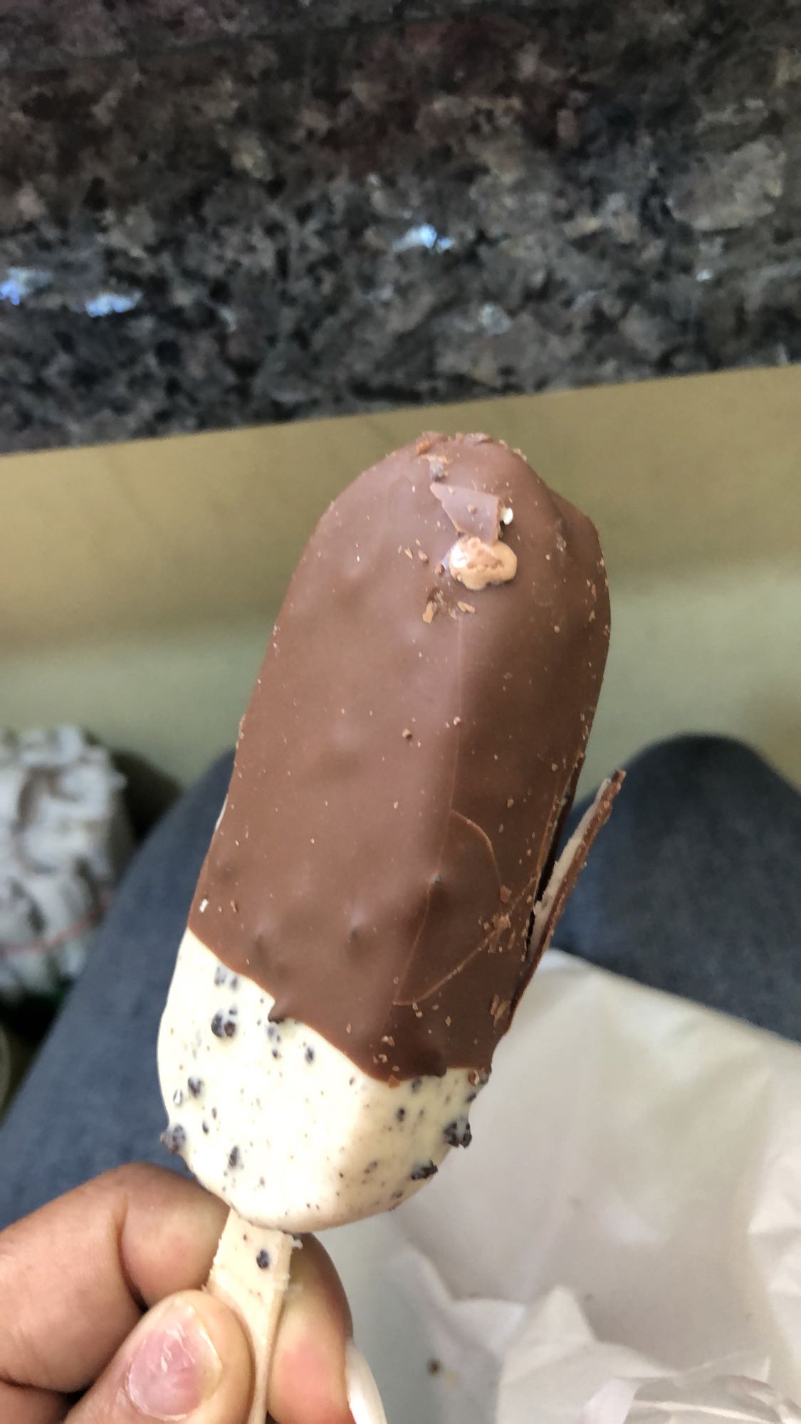 Paleta de chocolate y vainilla