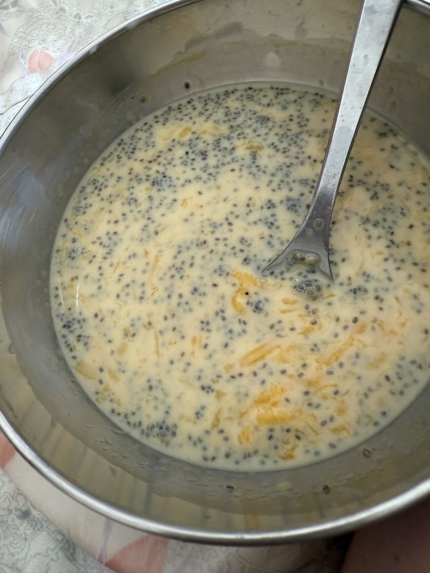 Chia Mango Pudding