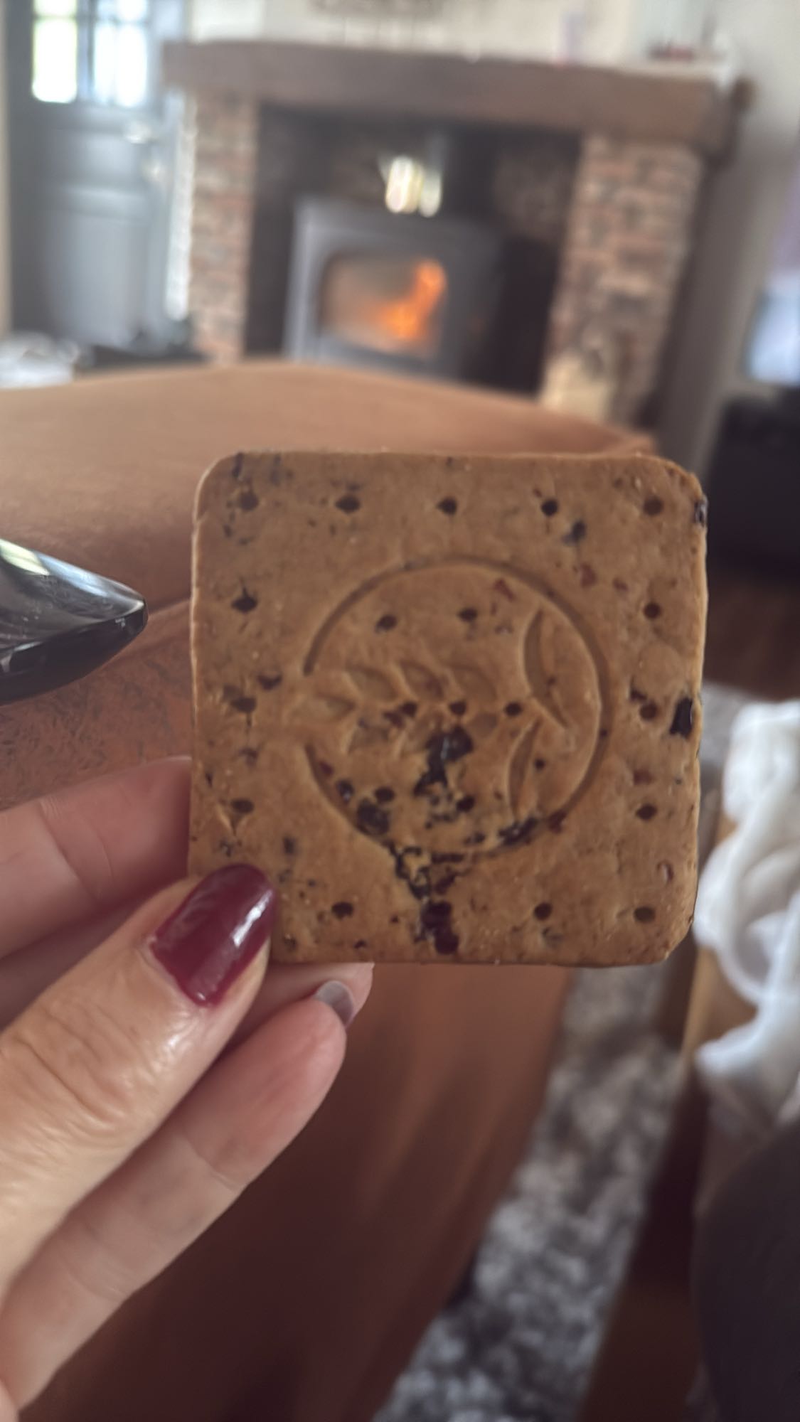 haverkoekje met rozijnen