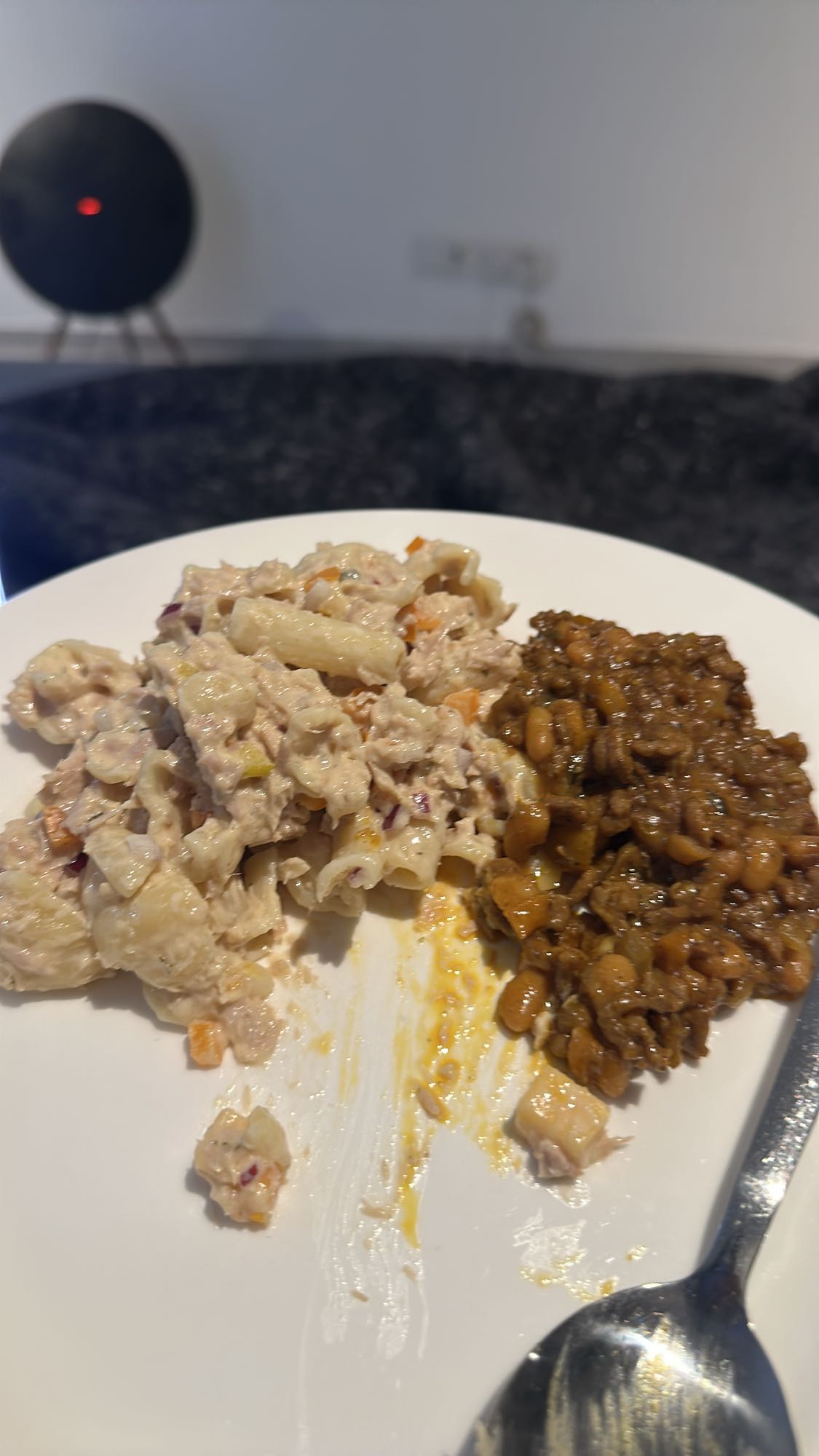 Tuna Pasta Salad & Beans