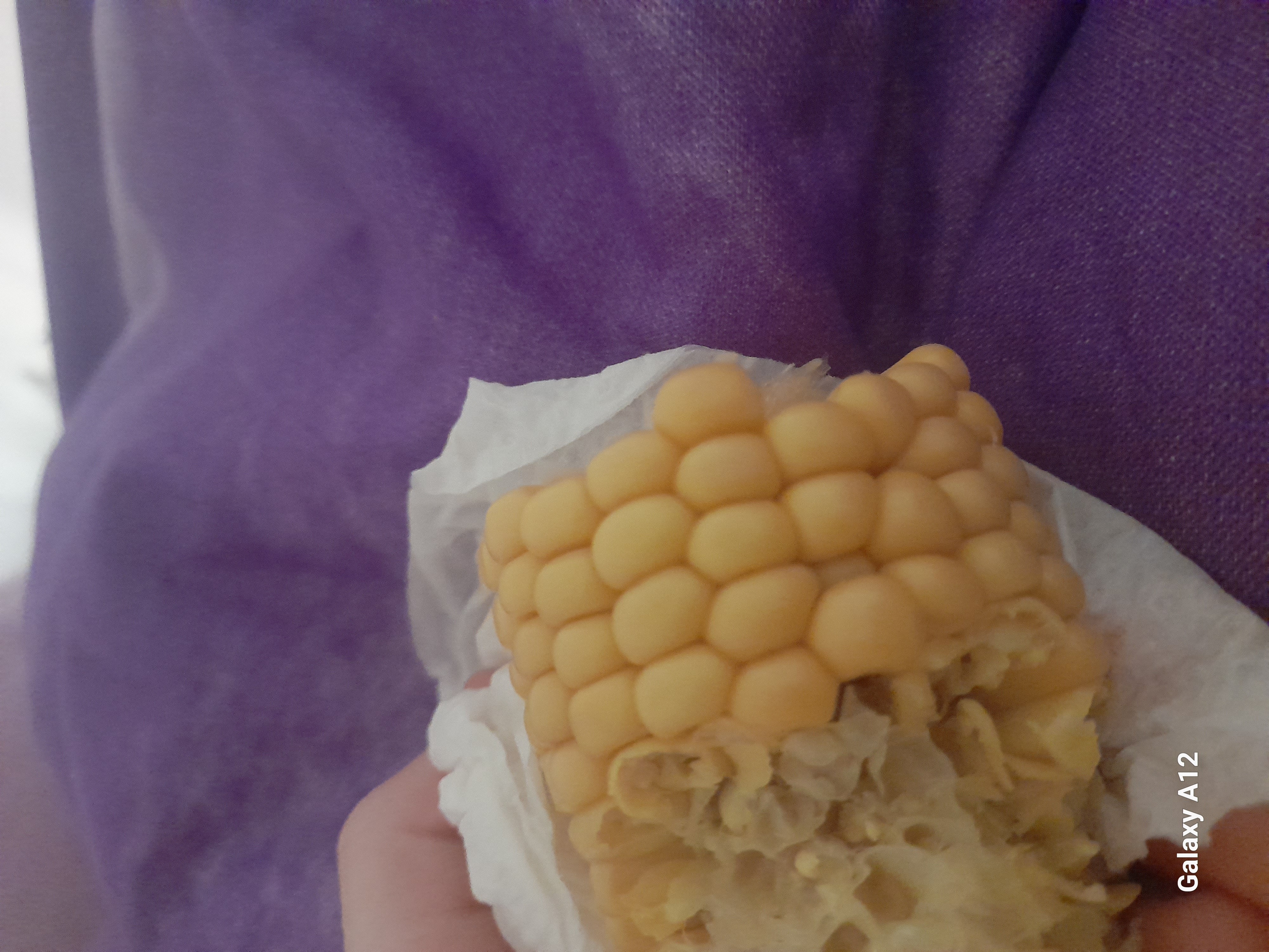 Boiled Corn Snack