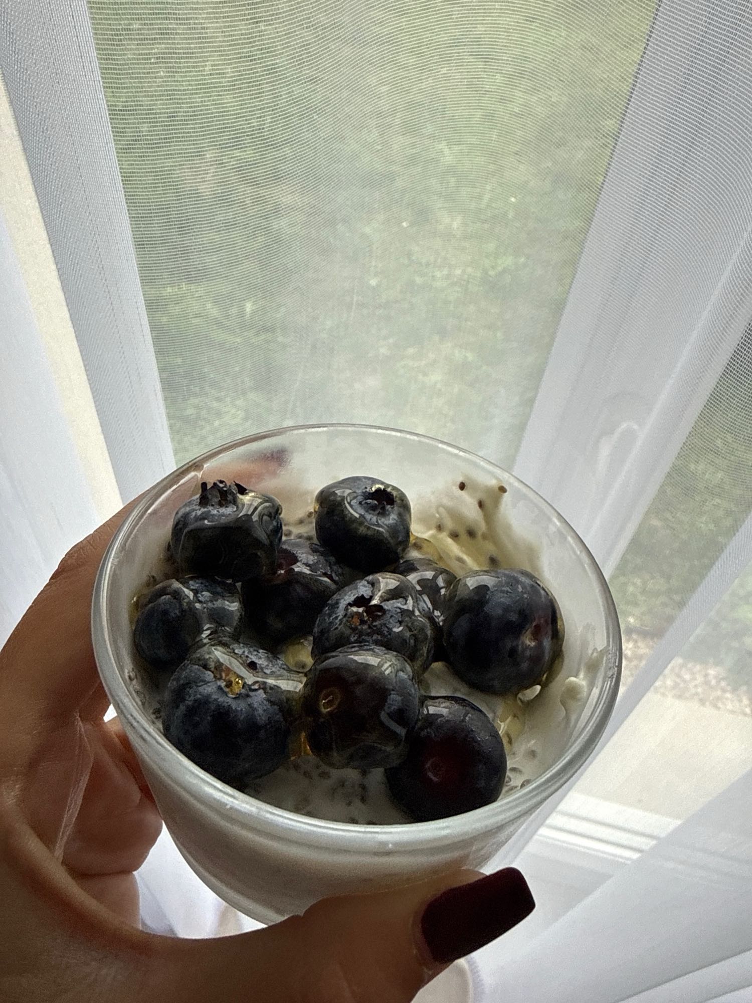 Yaourt aux myrtilles