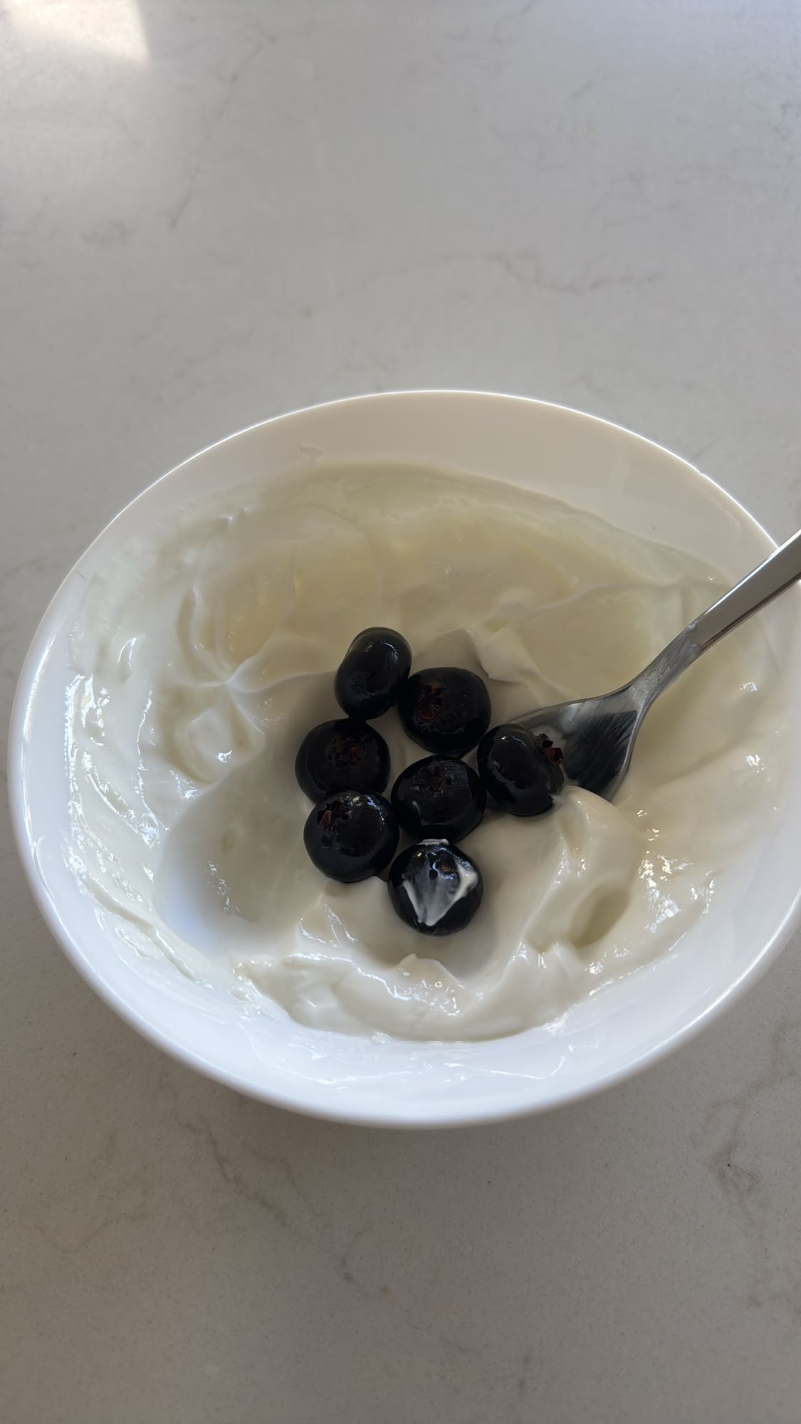 Yogurt with Blueberries