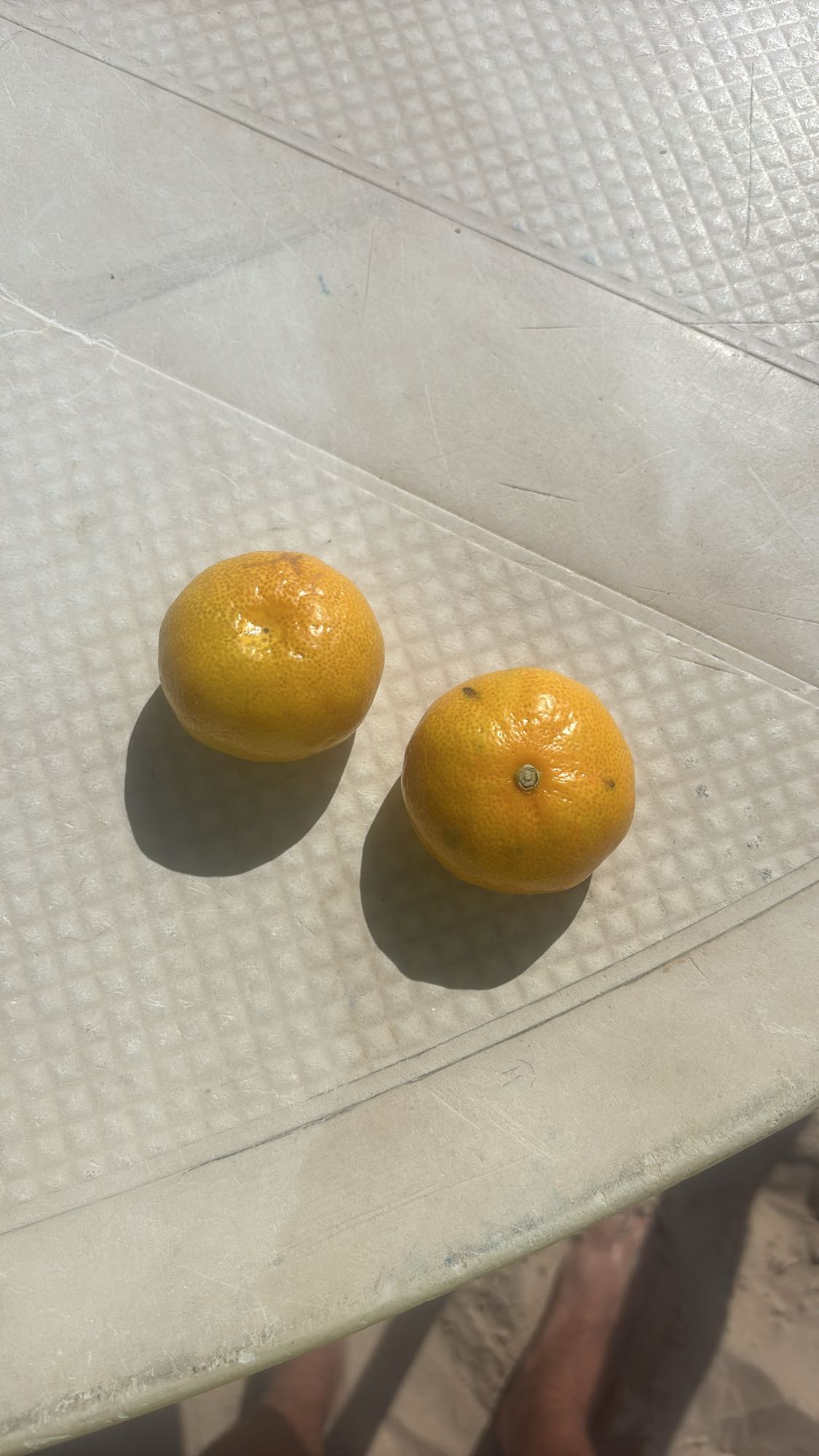 dos mandarinas frescas