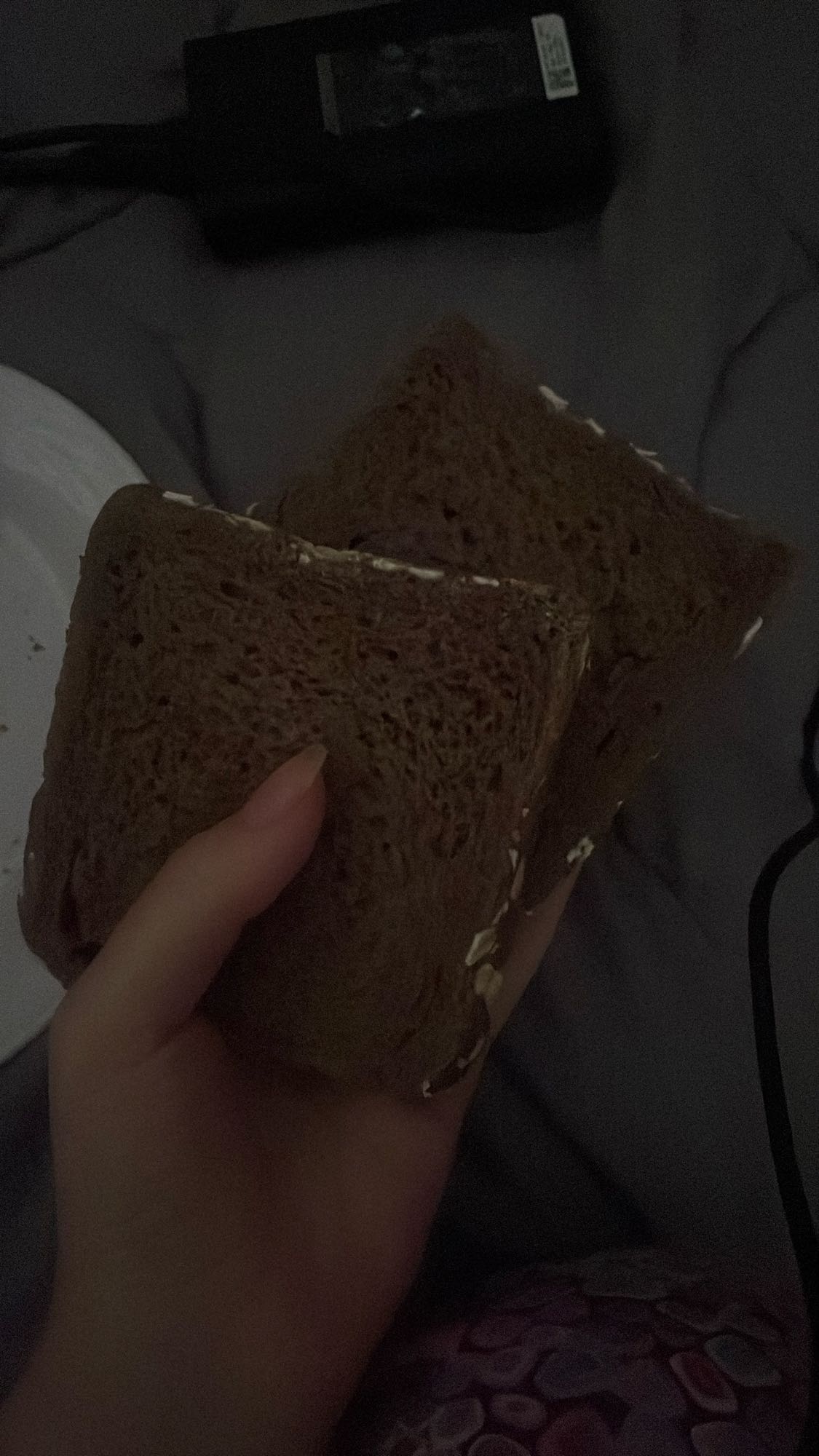 Pain complet tranches