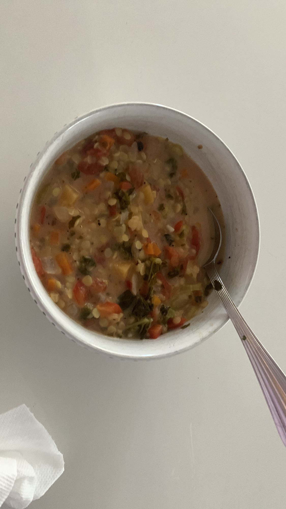 Soupe de lentilles légumes