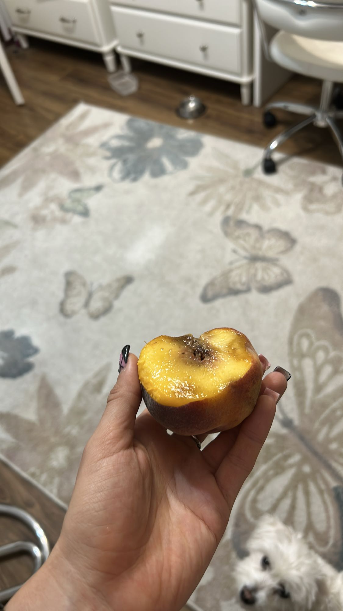 Piersică proaspătă