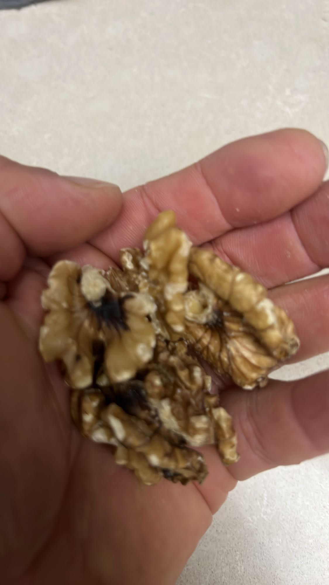 Ceviz Atıştırmalık