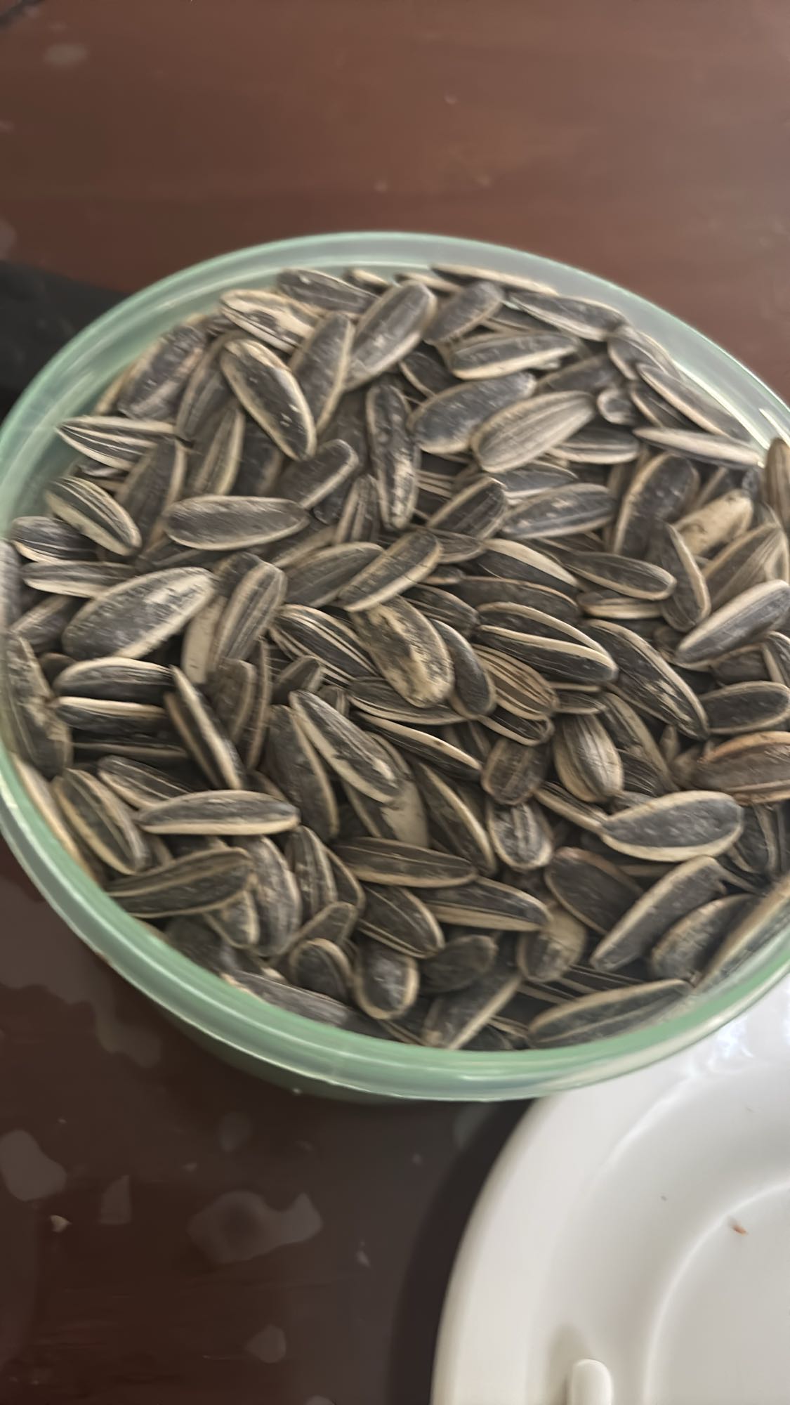 Solrosfrön mellanmål