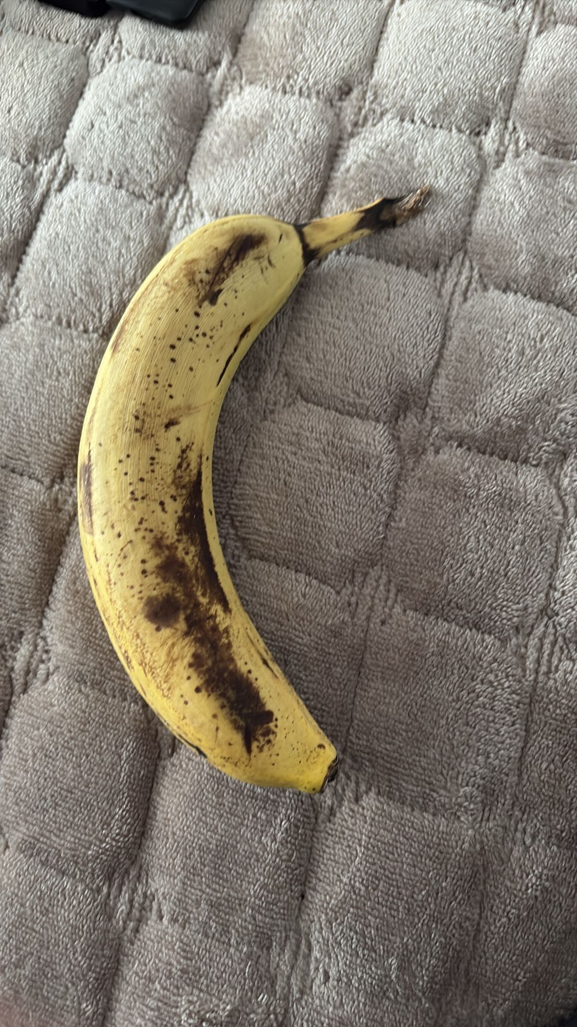 Moden banan