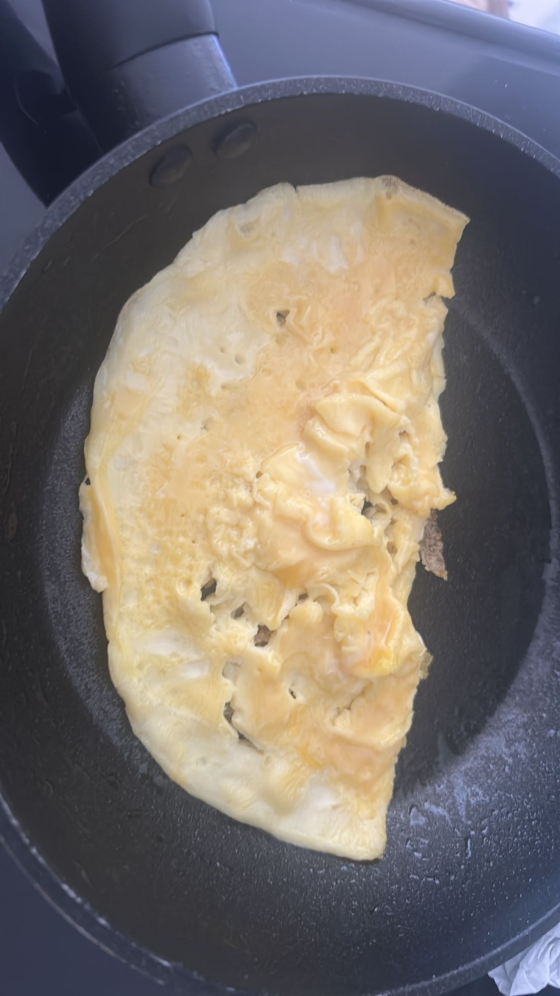 omelette nature