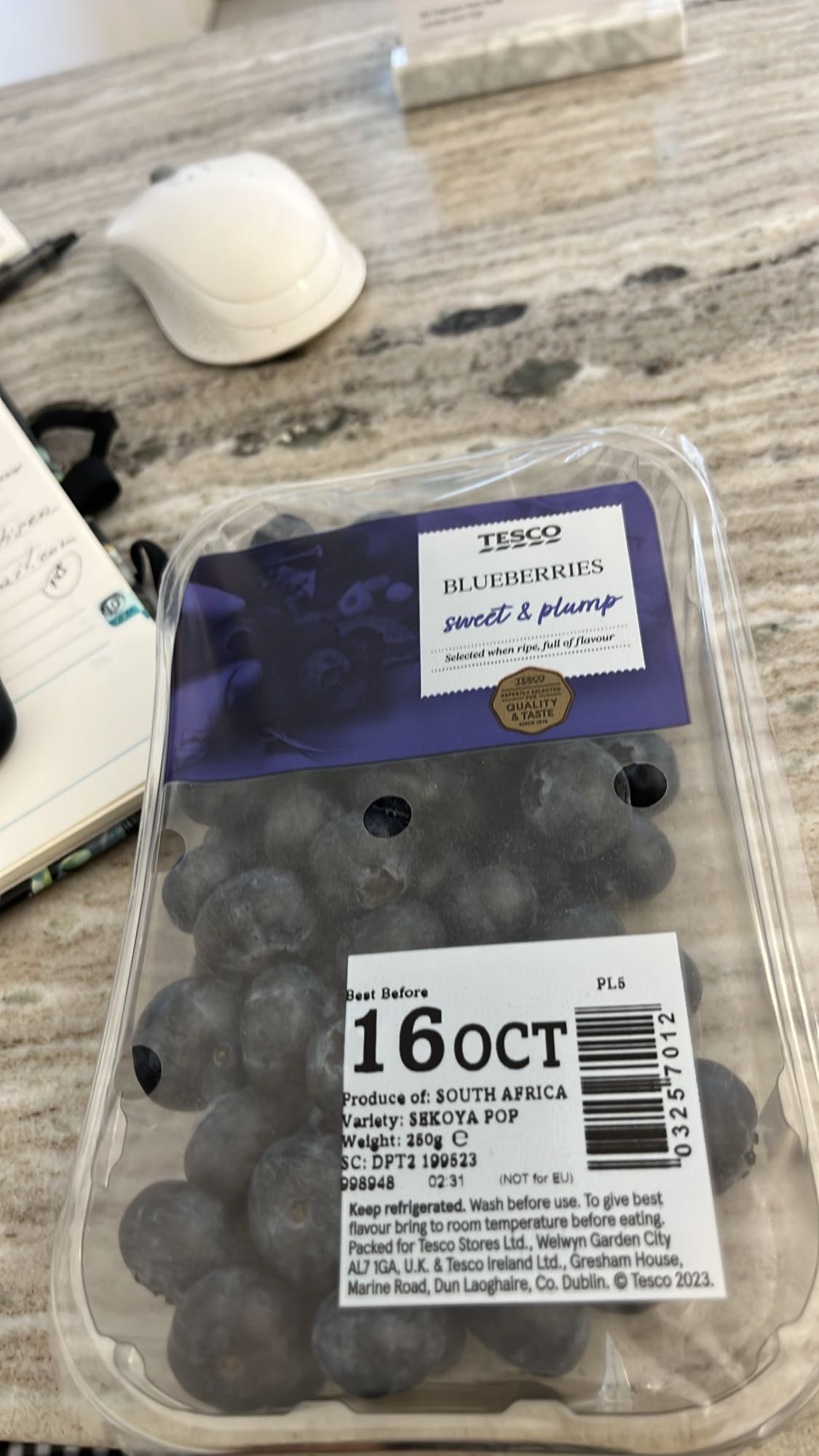 Fresh Blueberries
