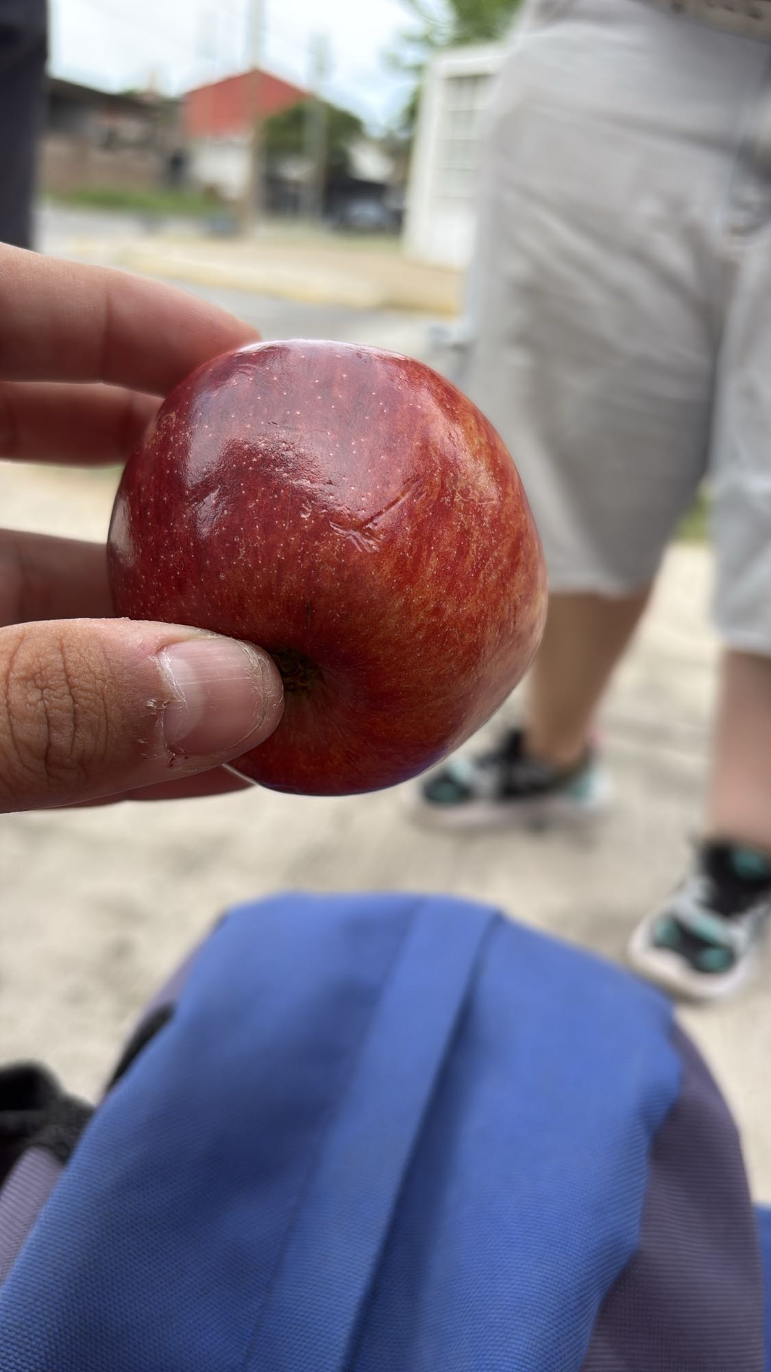 manzana roja