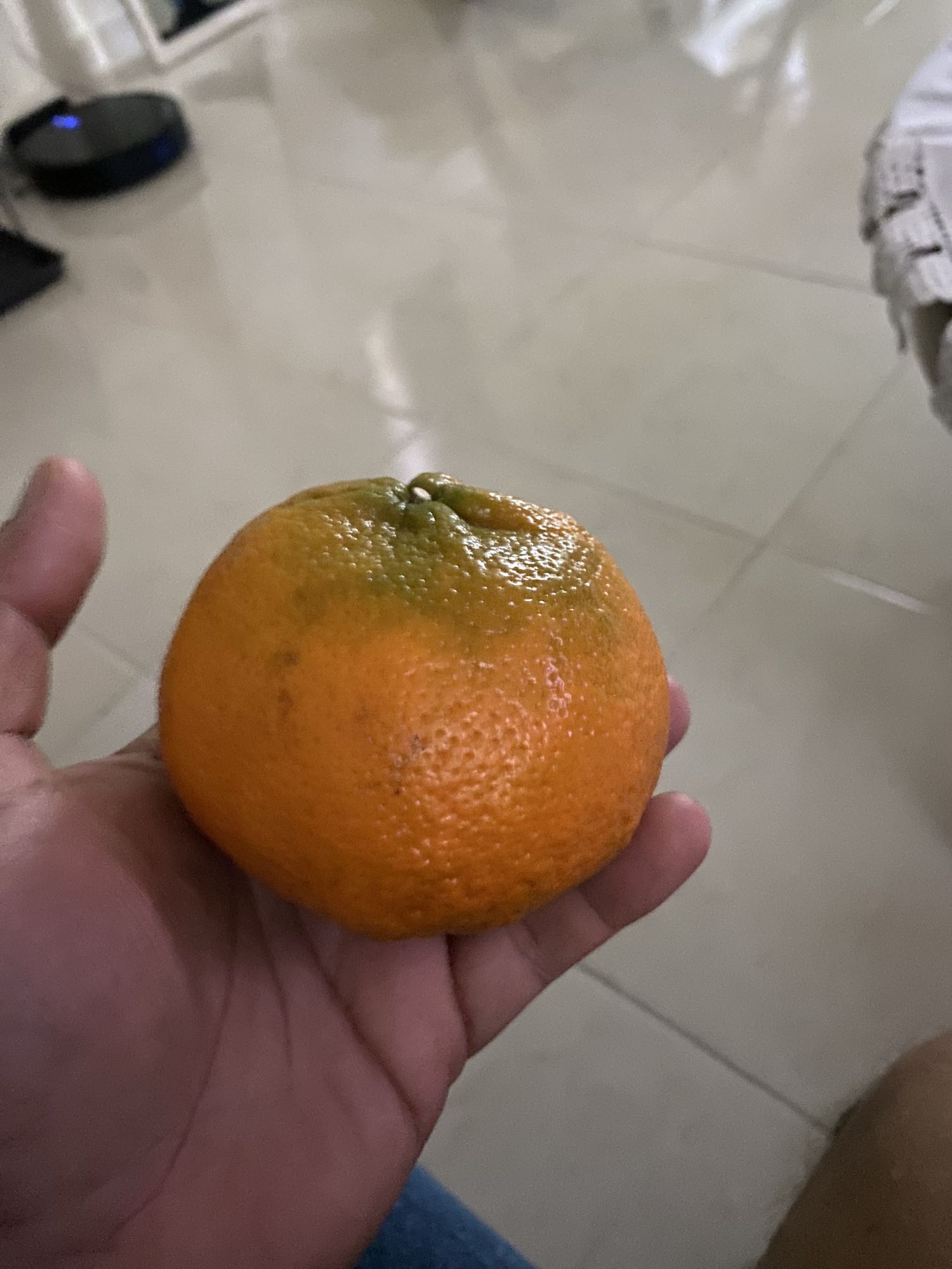 Mandarina fresca