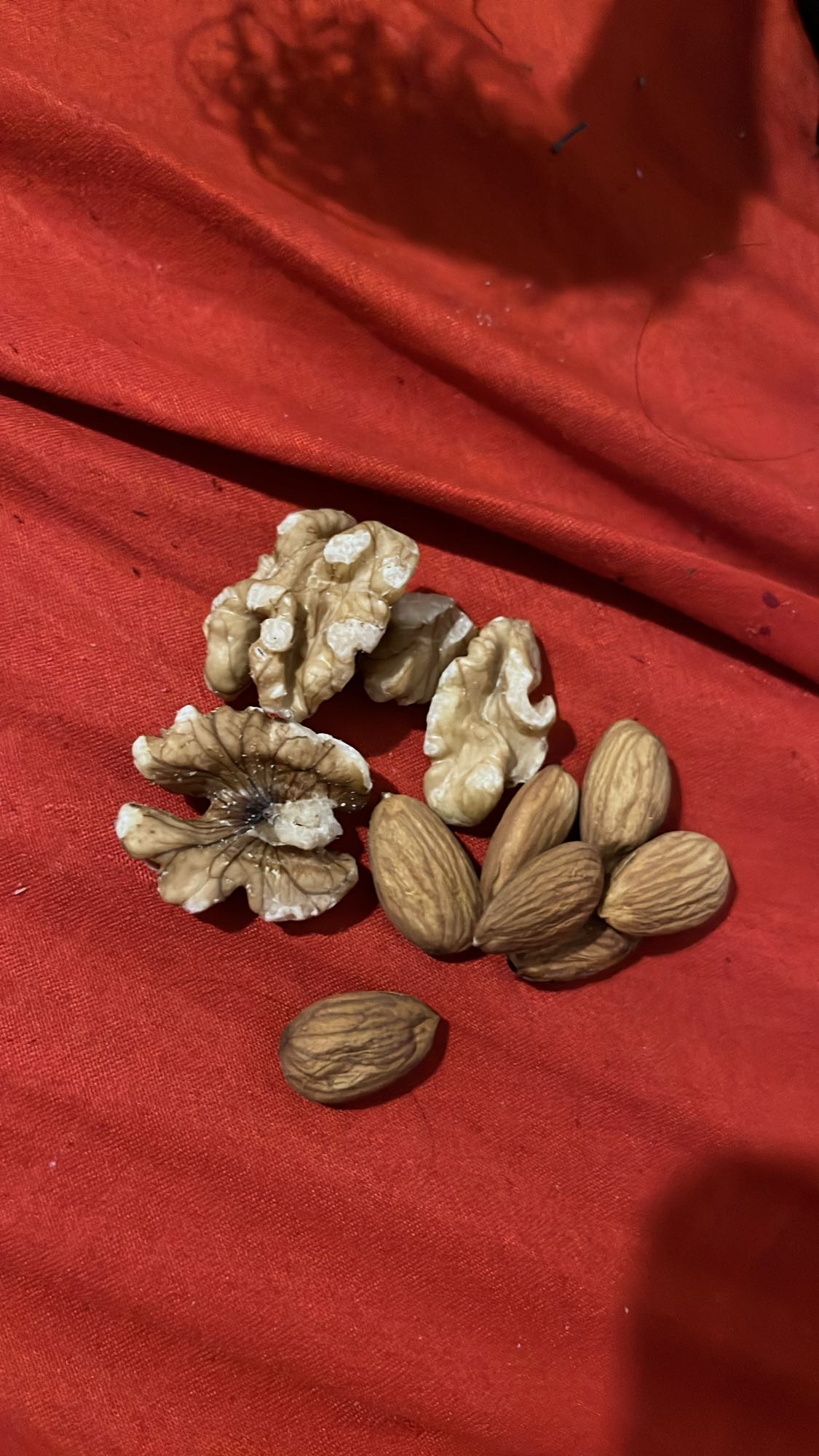 Nueces y almendras