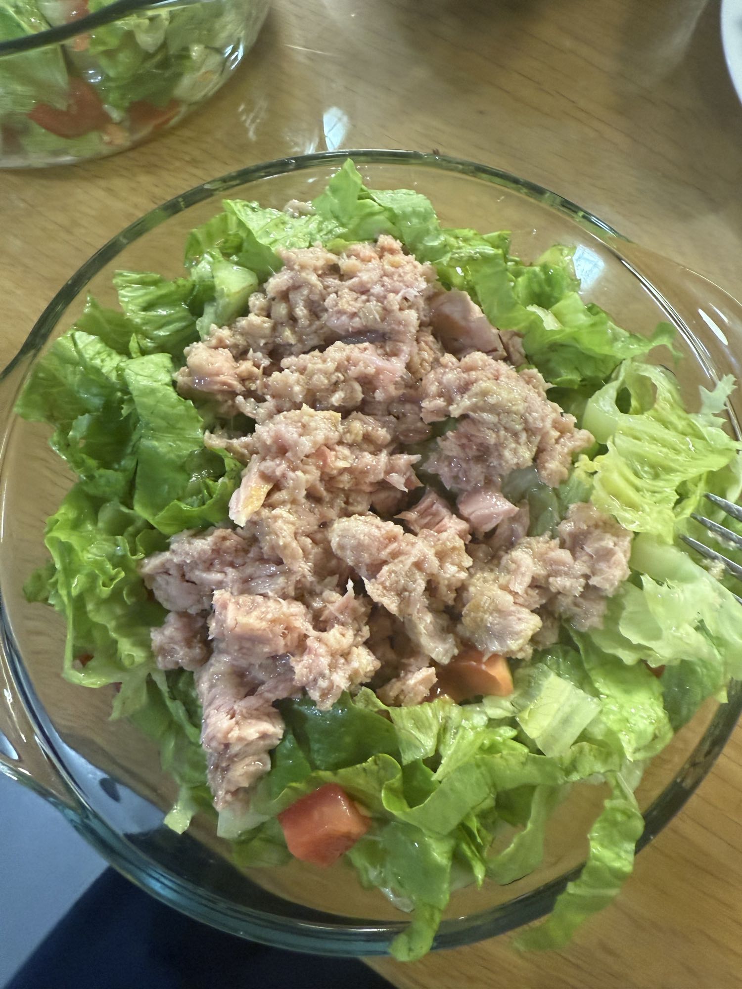 Ton Balıklı Salata