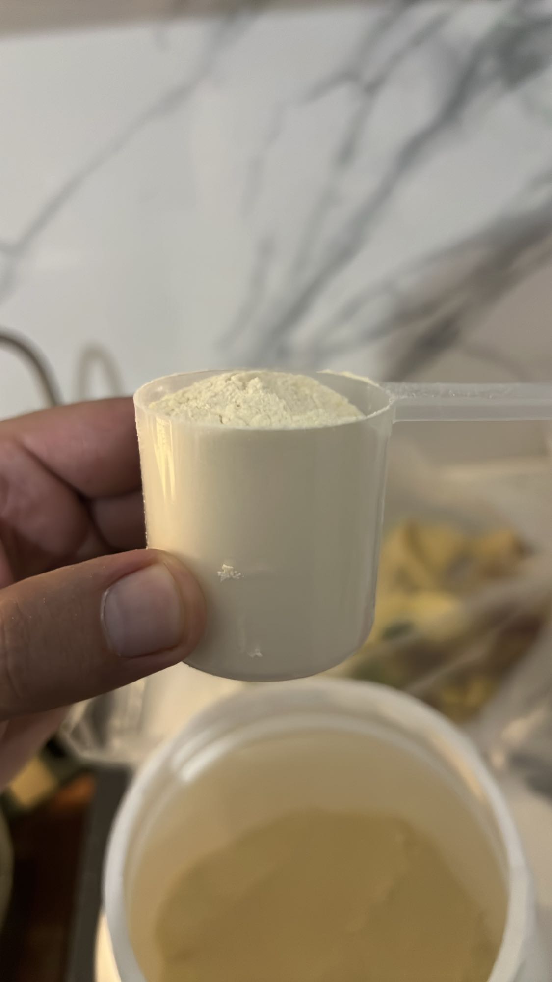 պրոտեին փոշի