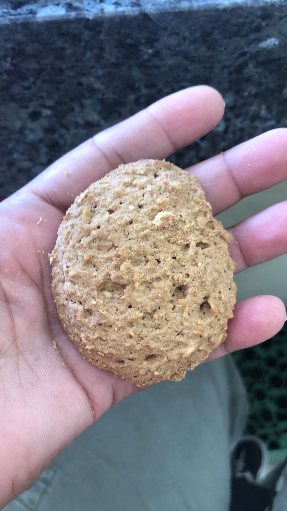 galleta de avena con pasas