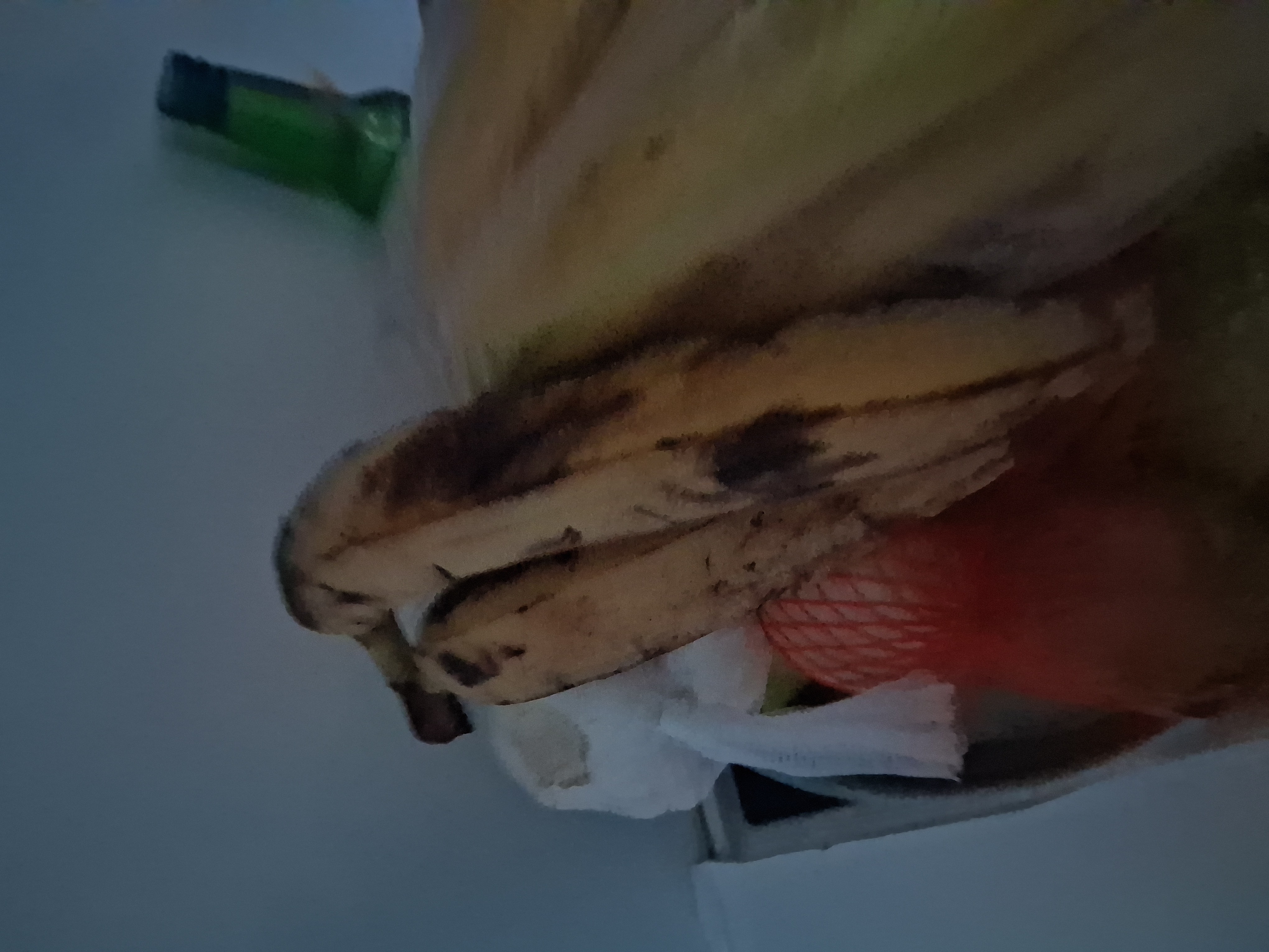 Bananen und Zwiebeln