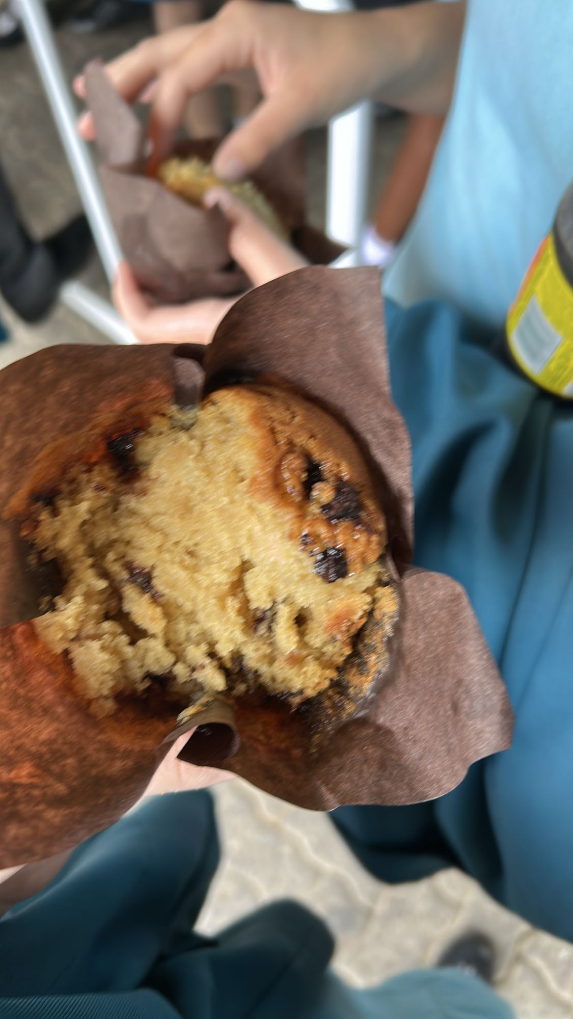 Chocolate Chip Muffin