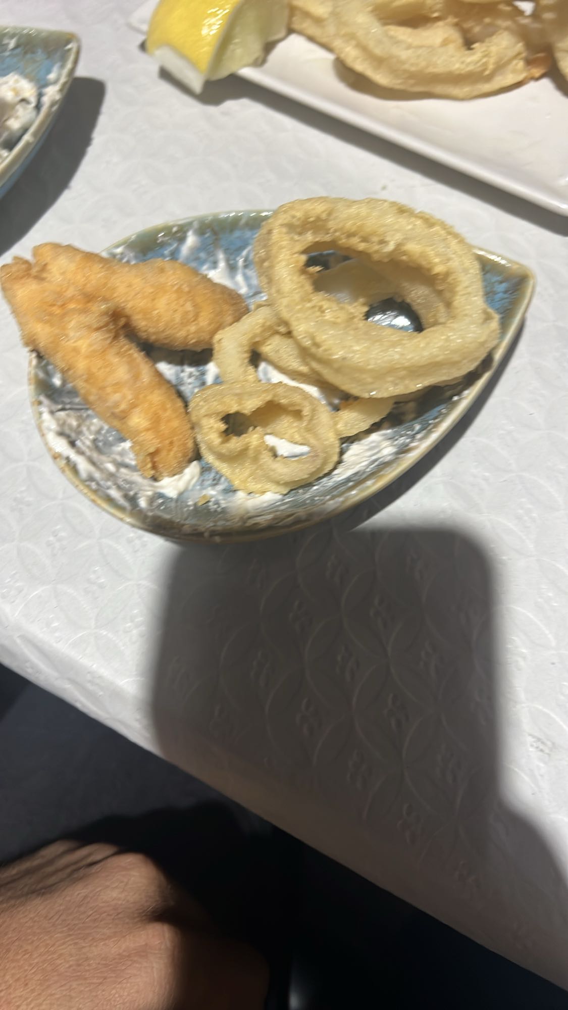 Aros de cebolla y palitos de pescado