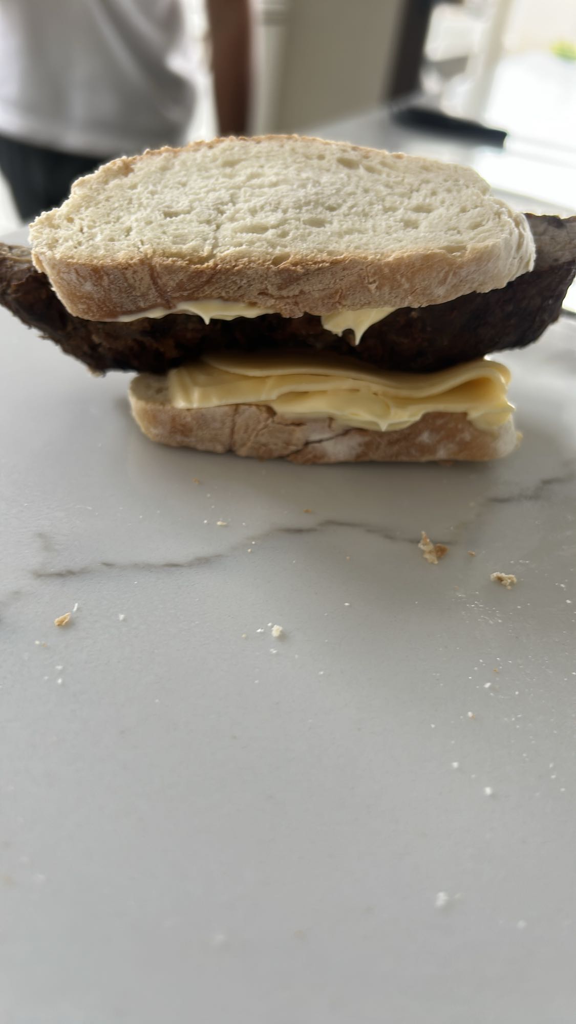 Sándwich de carne y queso