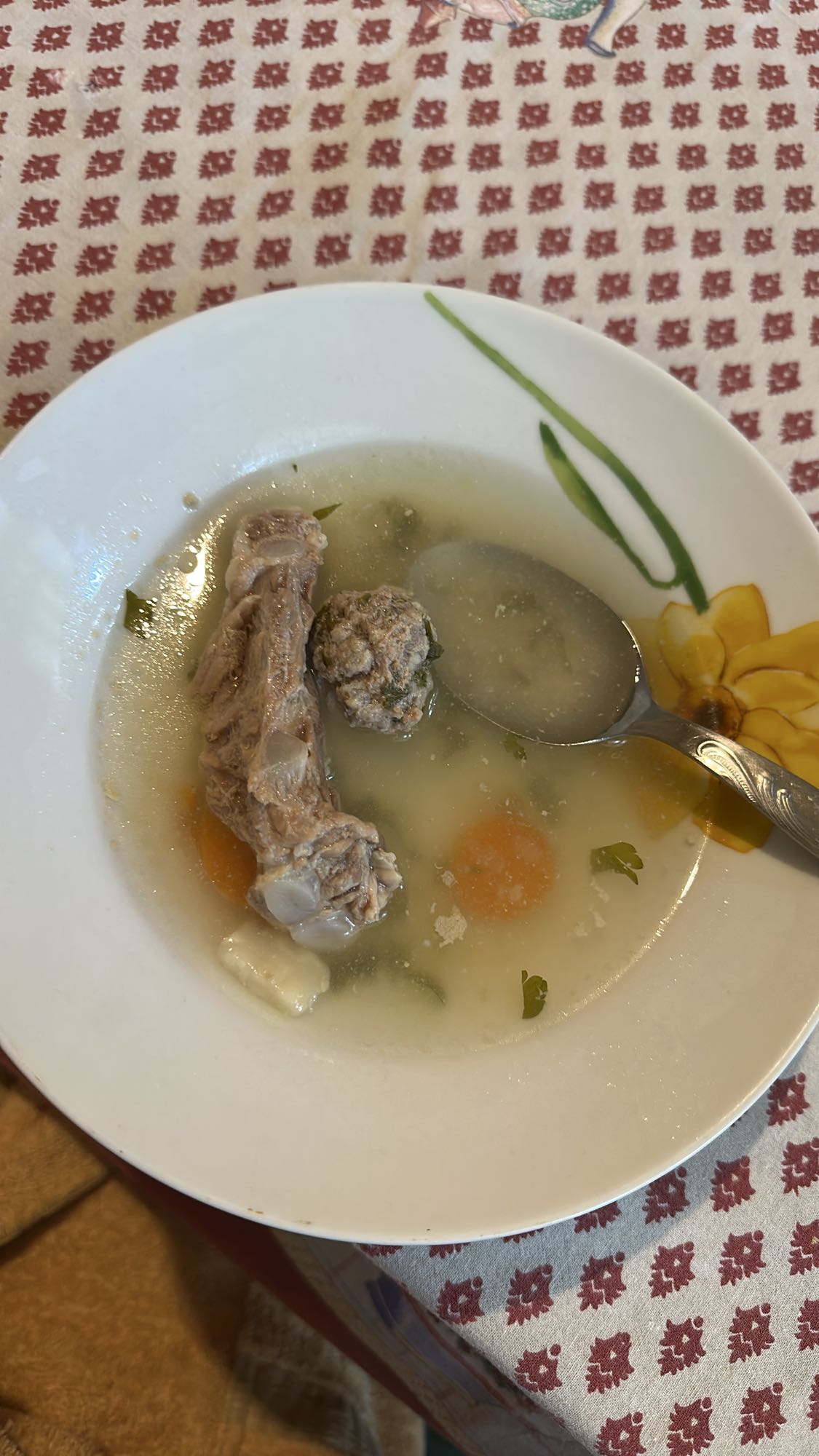 Meat and Veggie Soup