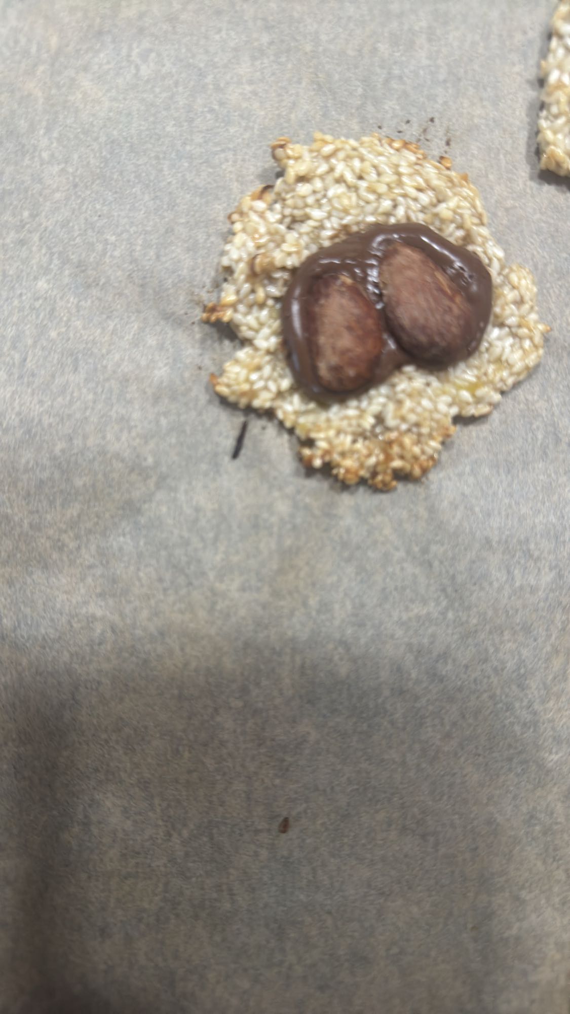 Sesame Choco Date Bite