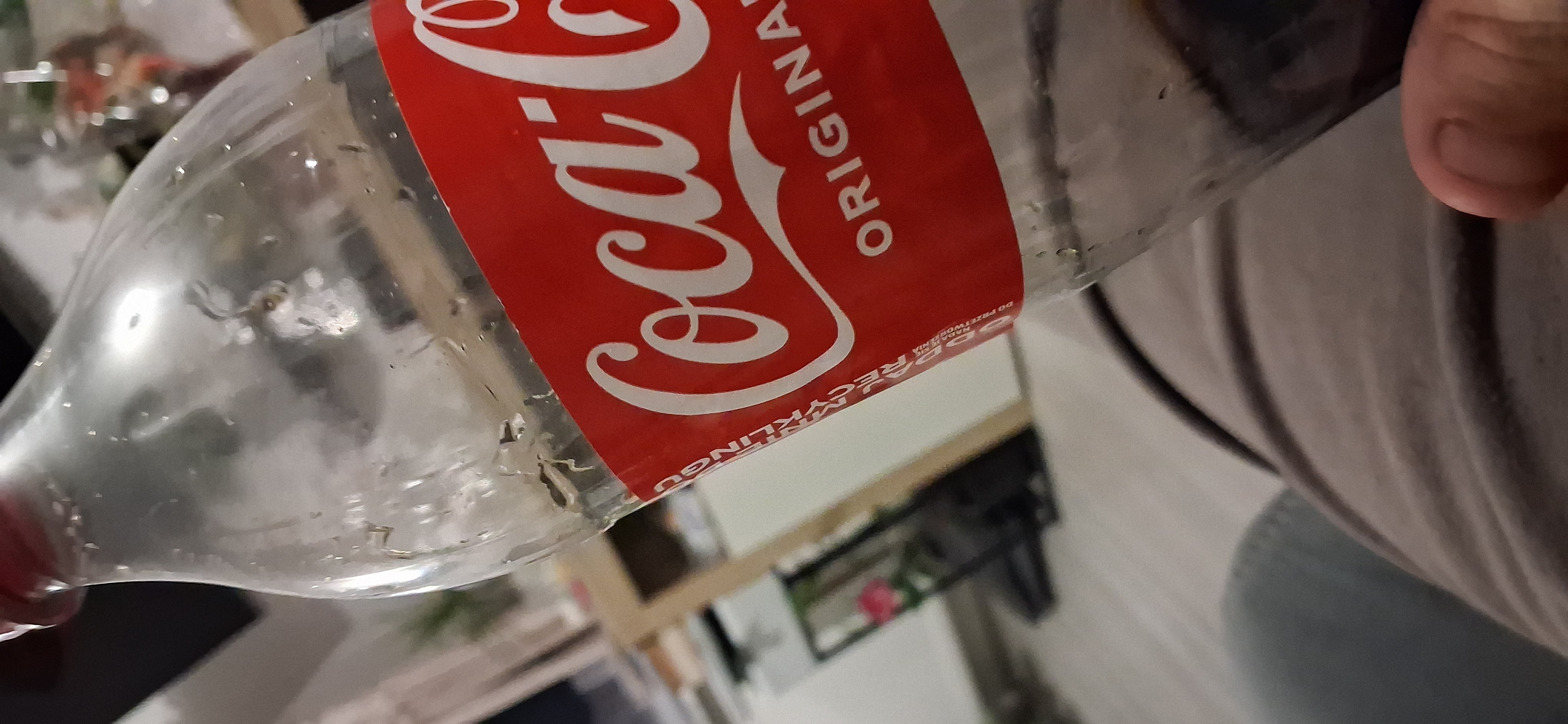 Coca-Cola Original