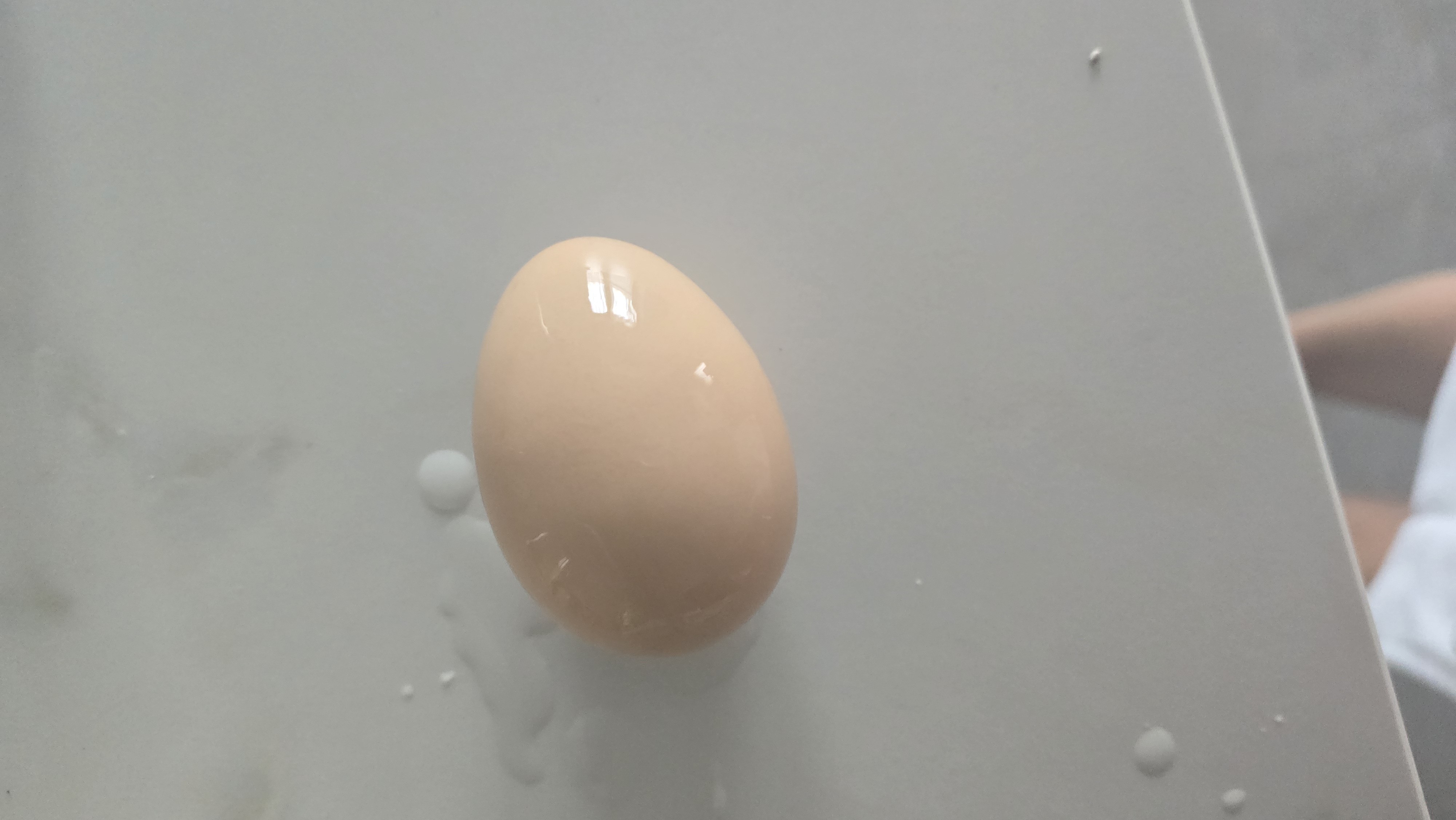 Boiled Egg