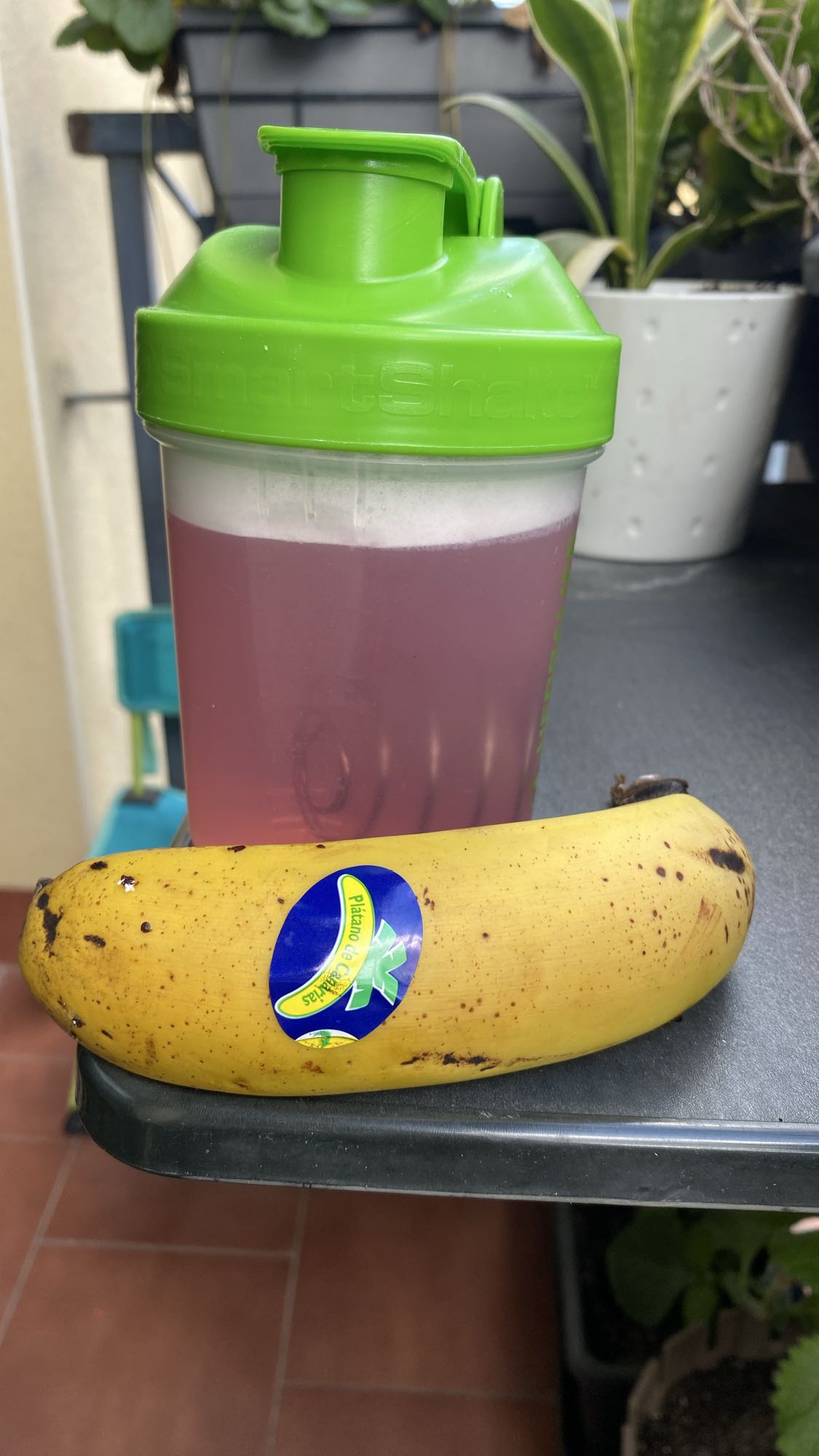 Proteína con agua y plano pequeño