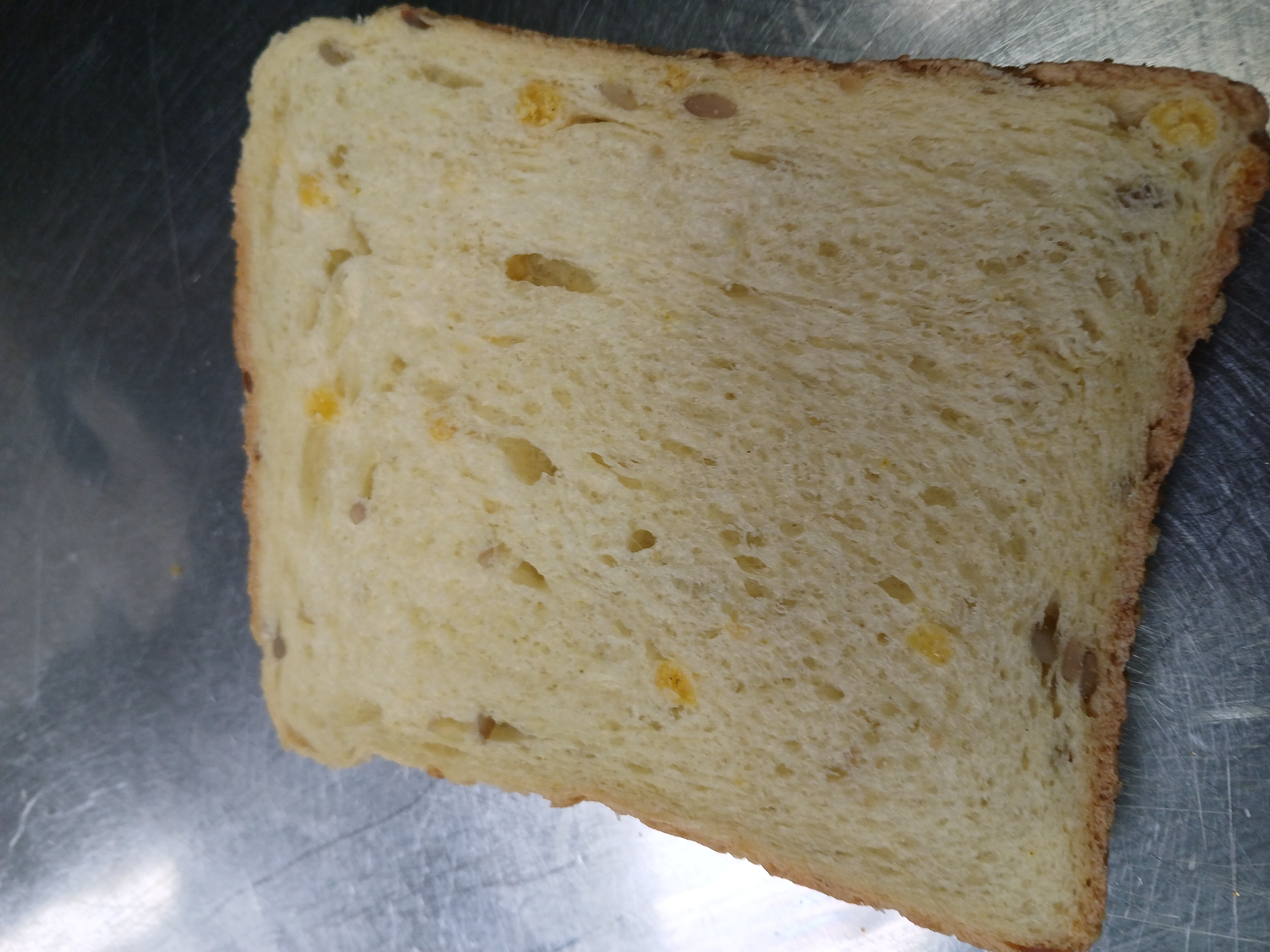 Multigrain Bread Slice