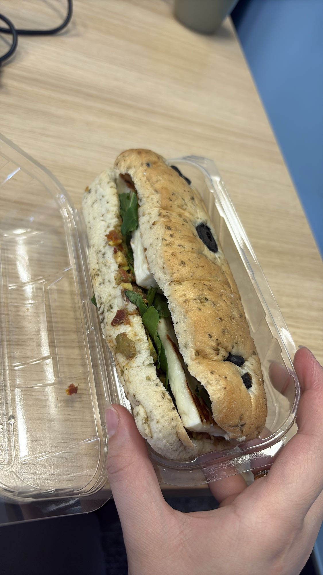 Mozzarella Veggie Sandwich