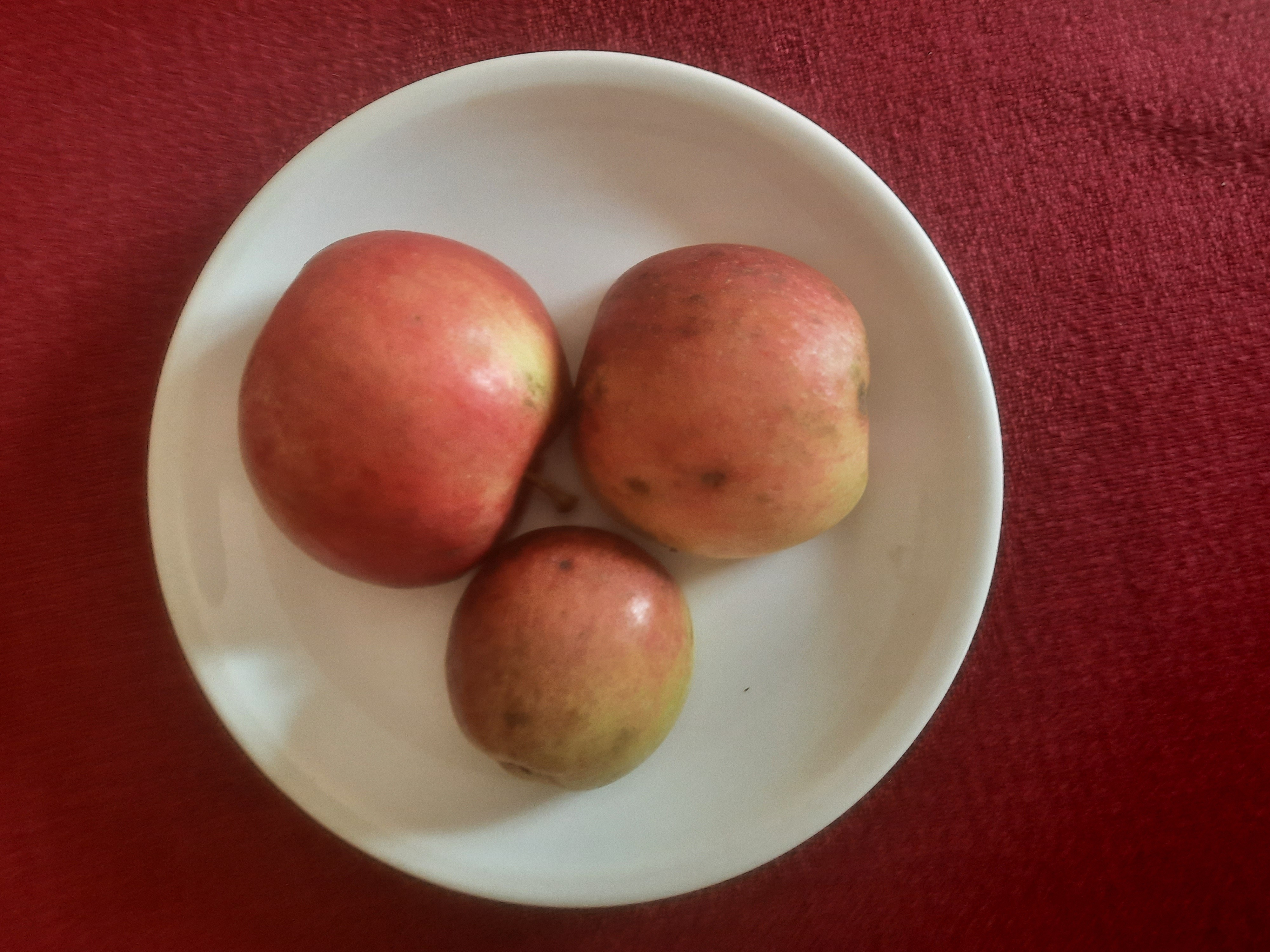 Drei Äpfel auf Teller